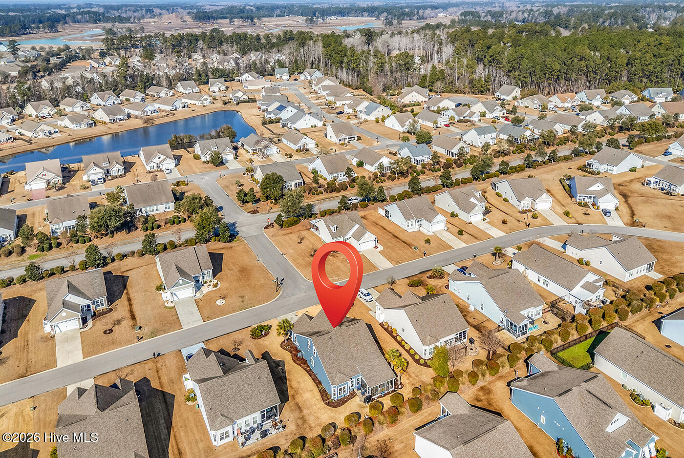 100553360 | Photo 44