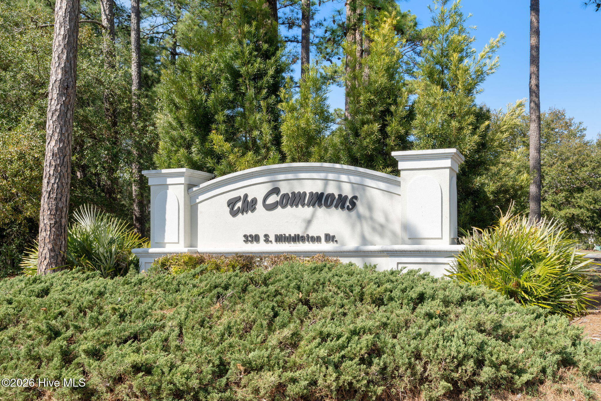 100558882 | Photo 44