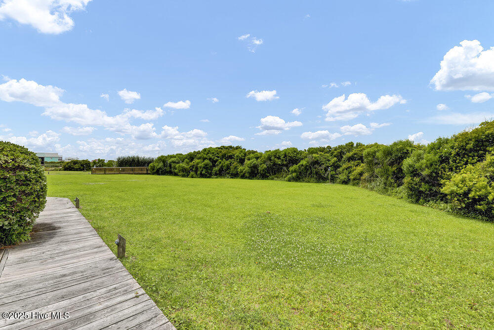 100513215 | Photo 45