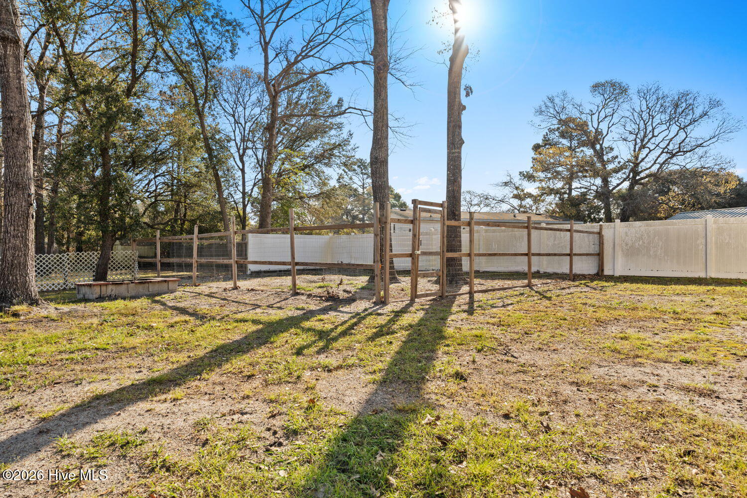 100562599 | Photo 23