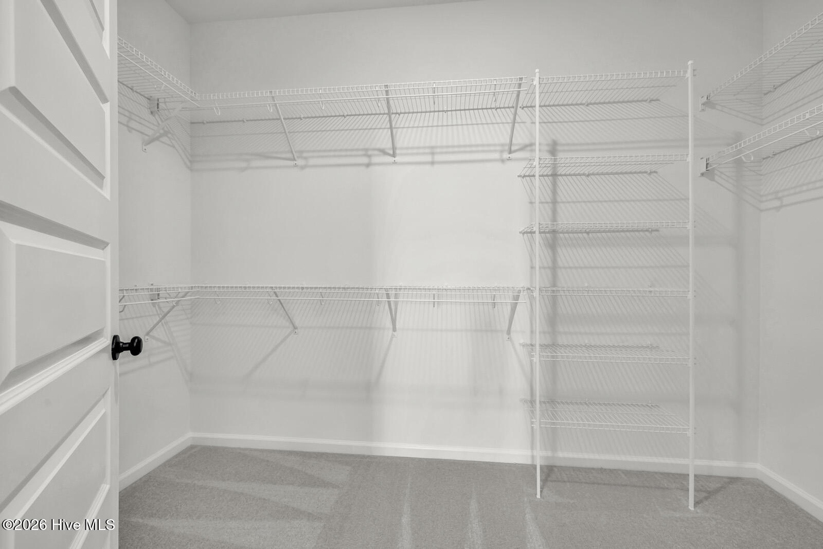 100531562 | Photo 19