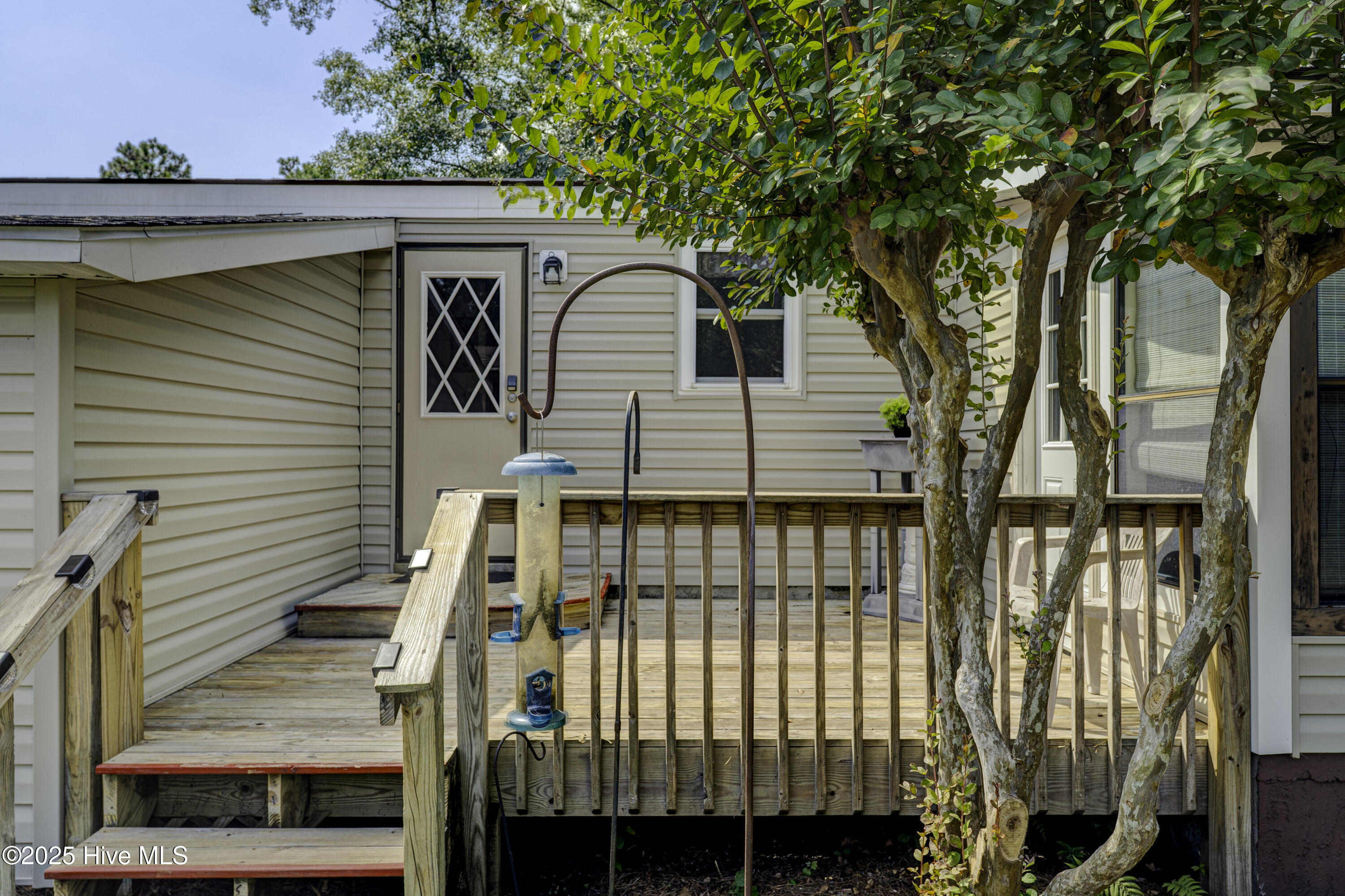 100532142 | Photo 35