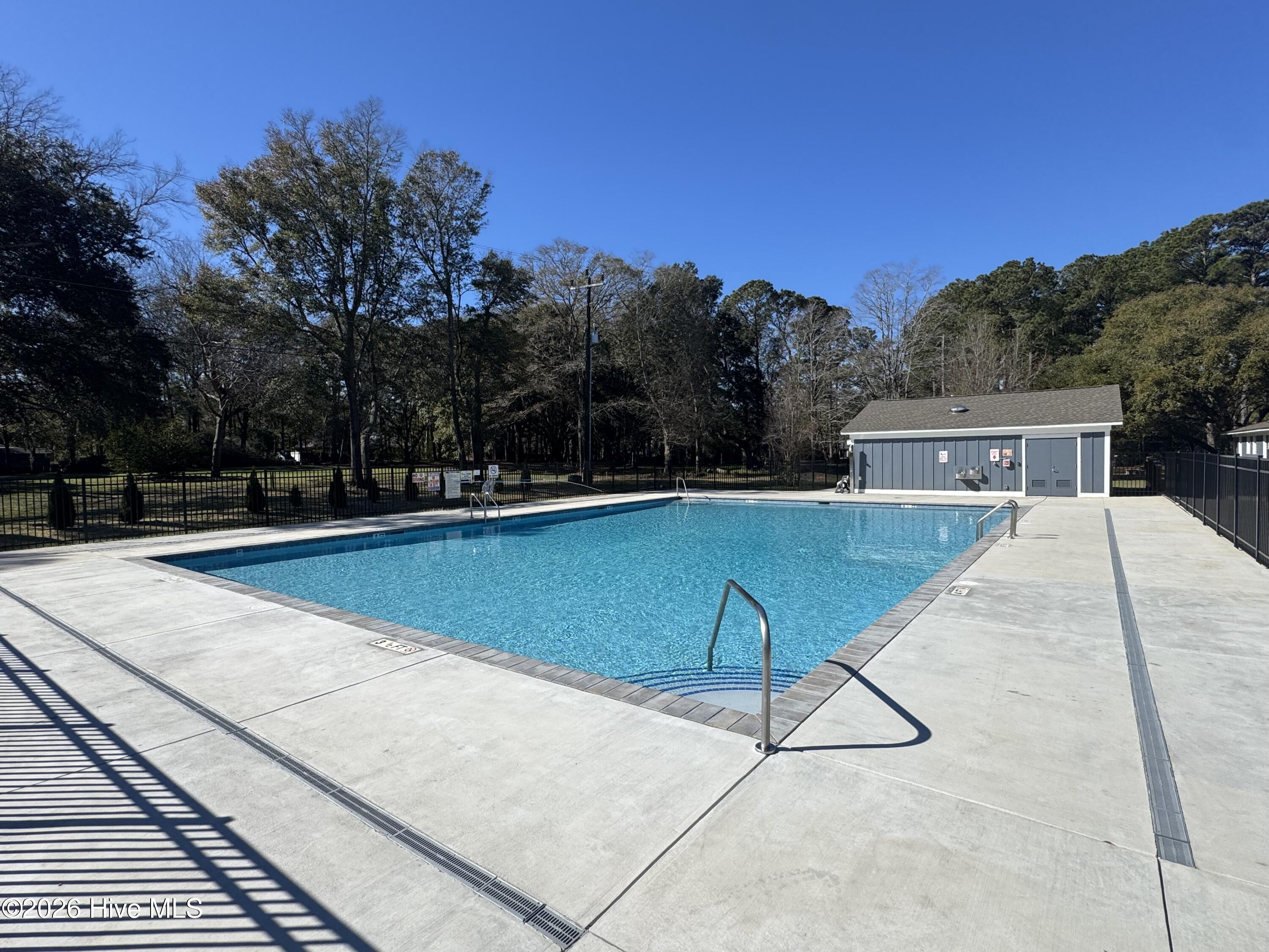 100555856 | Photo 45