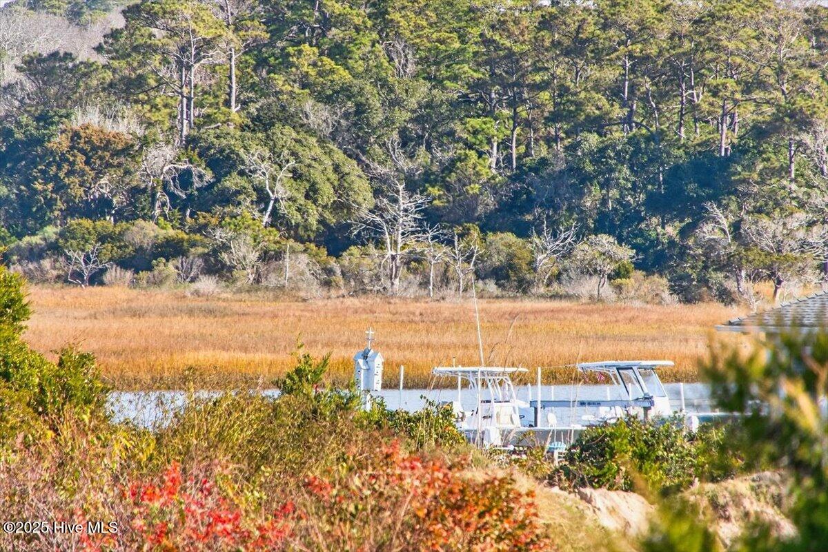 100531909 | Photo 34