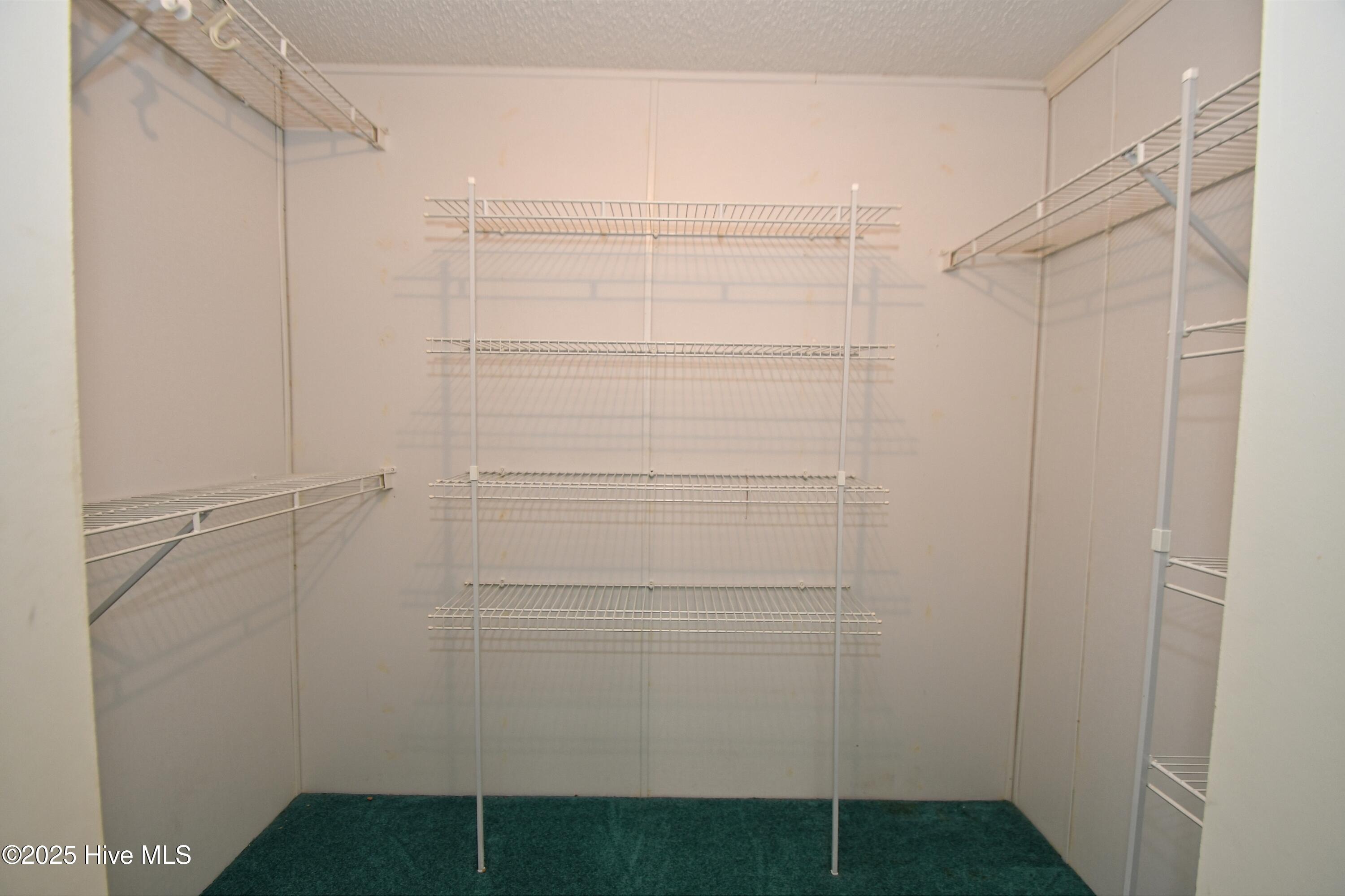 100539204 | Photo 21