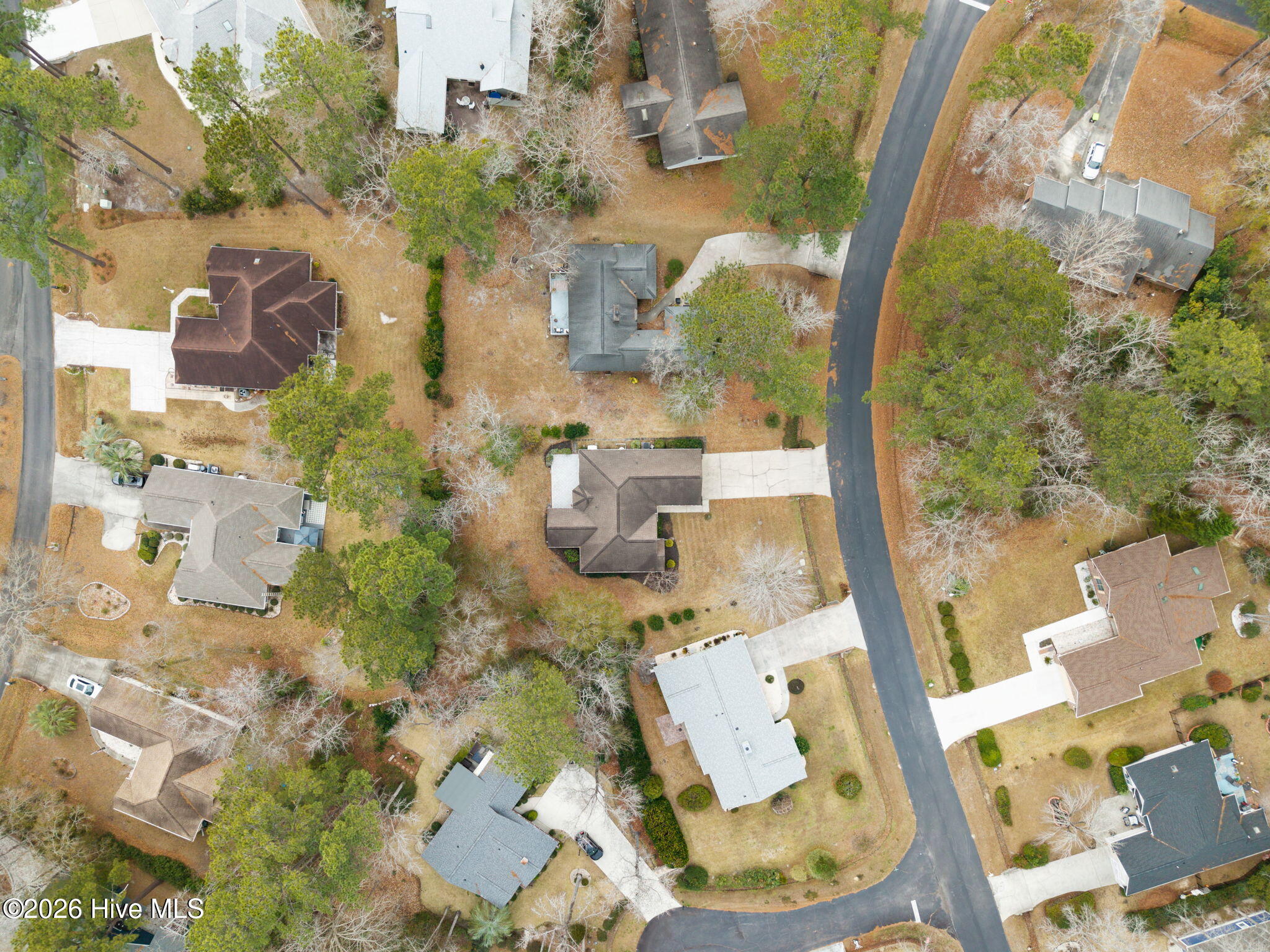 100549581 | Photo 54