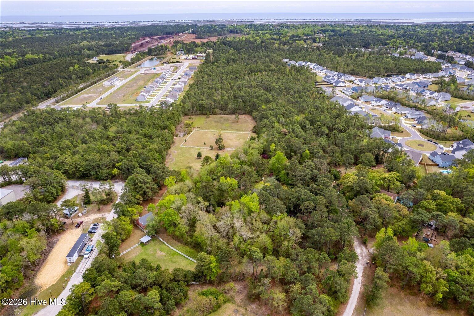 100566631 | Photo 16