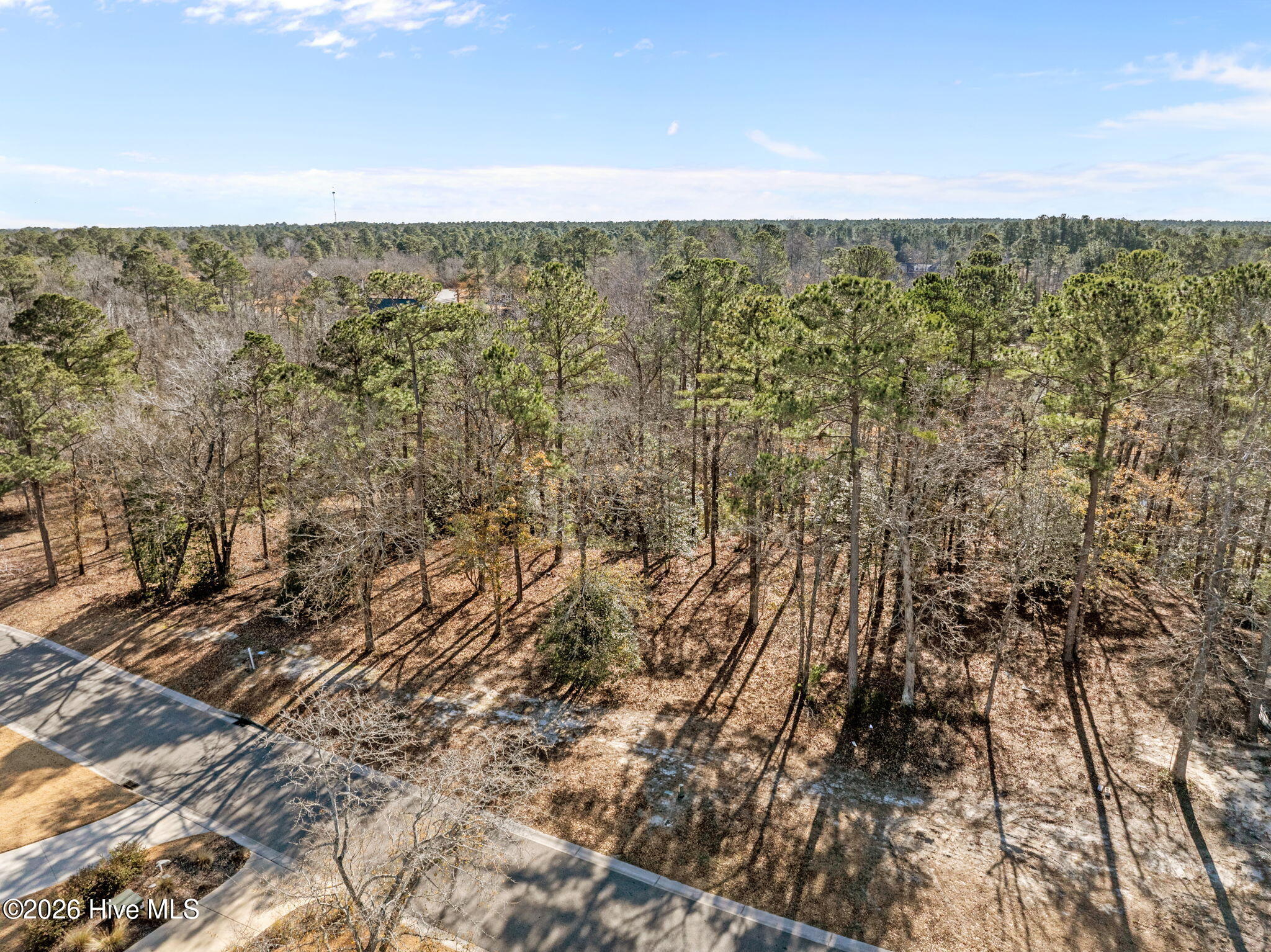 100547475 | Photo 21