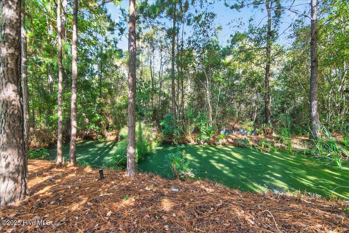 100537745 | Photo 40