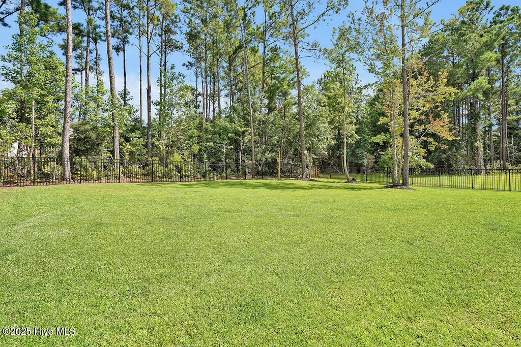 100521530 | Photo 48