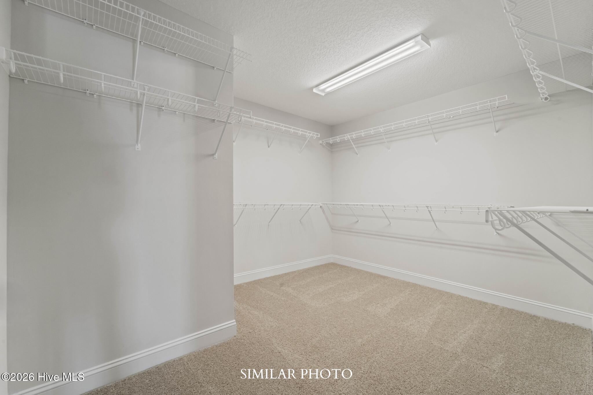 100566312 | Photo 47