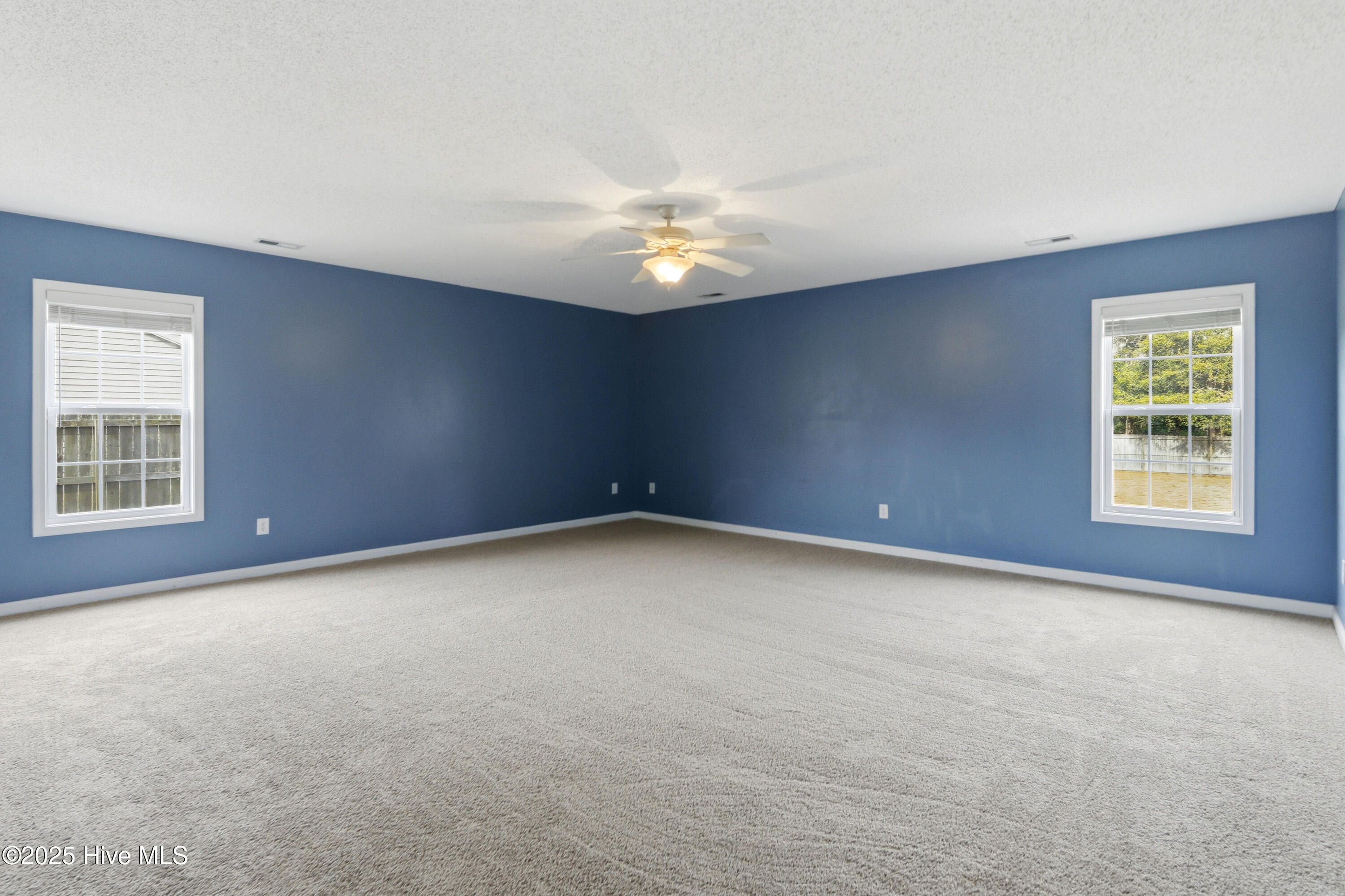 100531186 | Photo 18