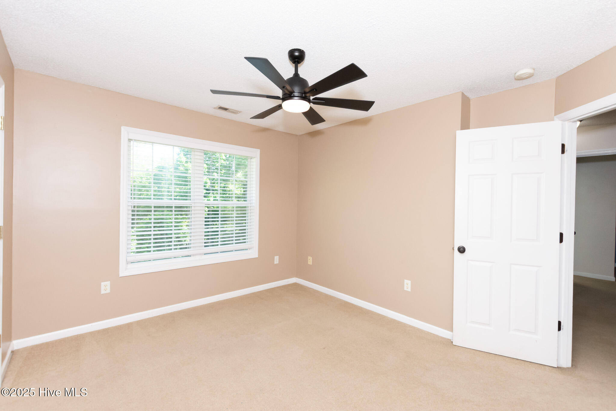 100554866 | Photo 34