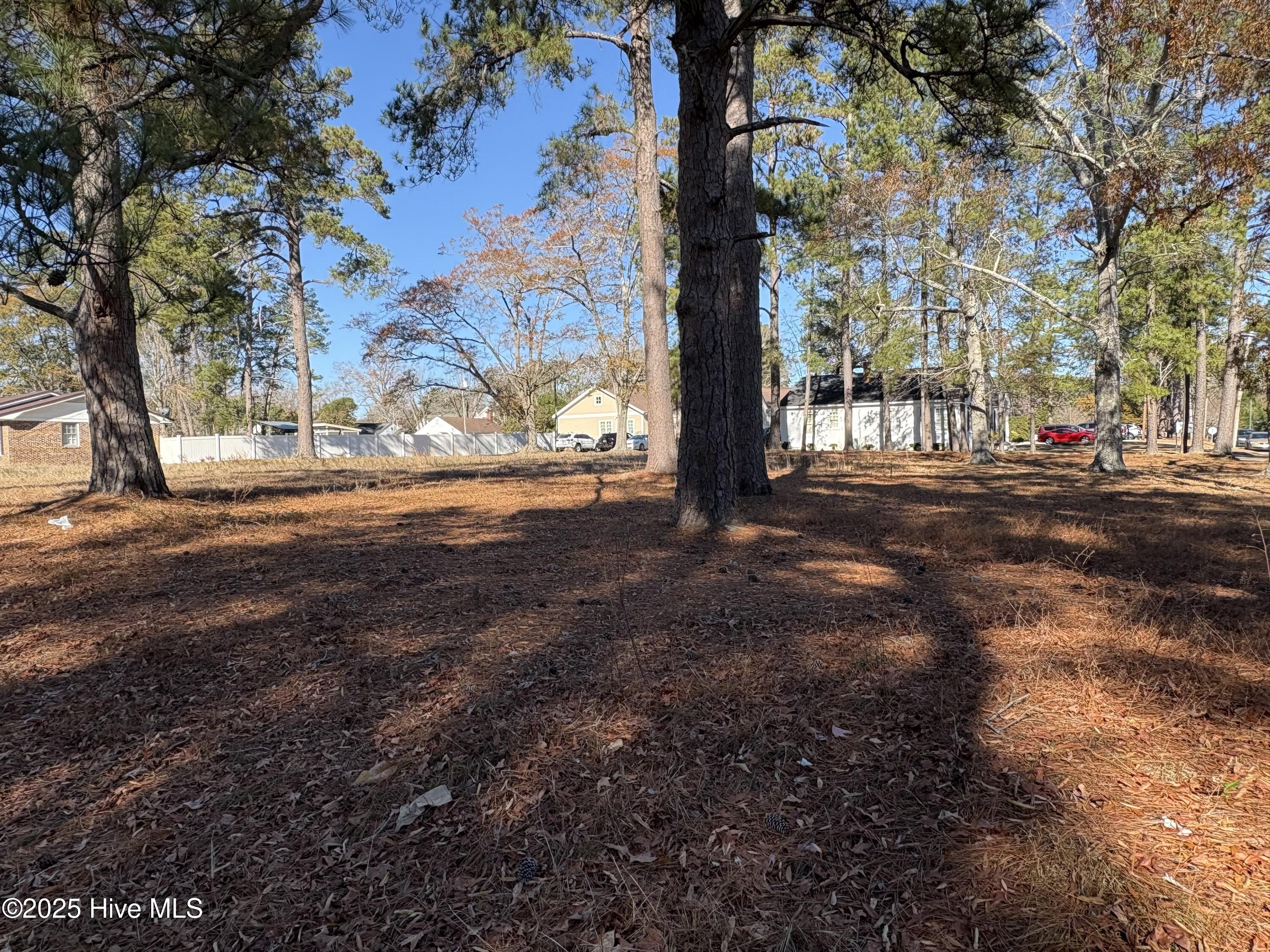 100546570 | Photo 11