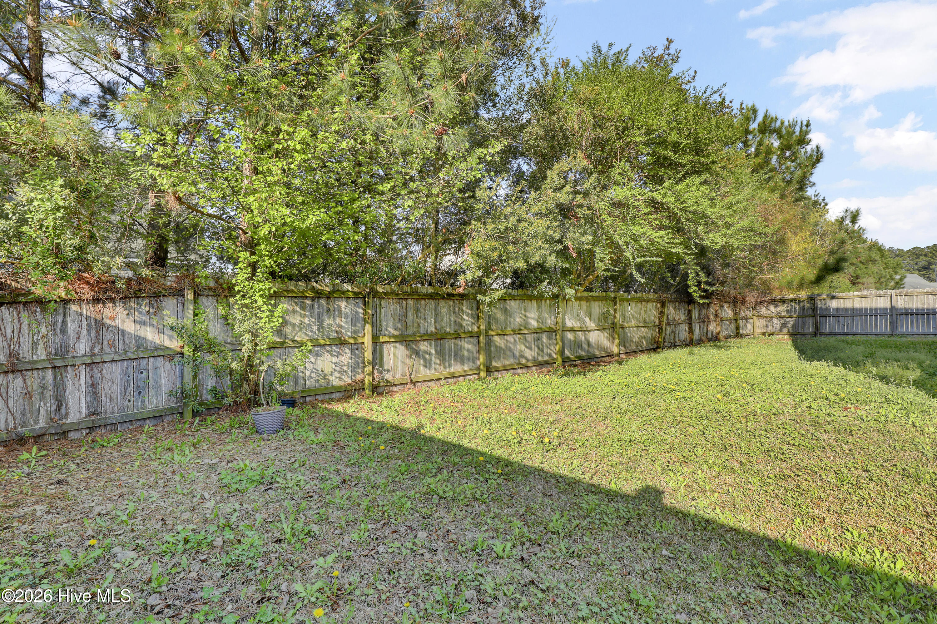 100563048 | Photo 21