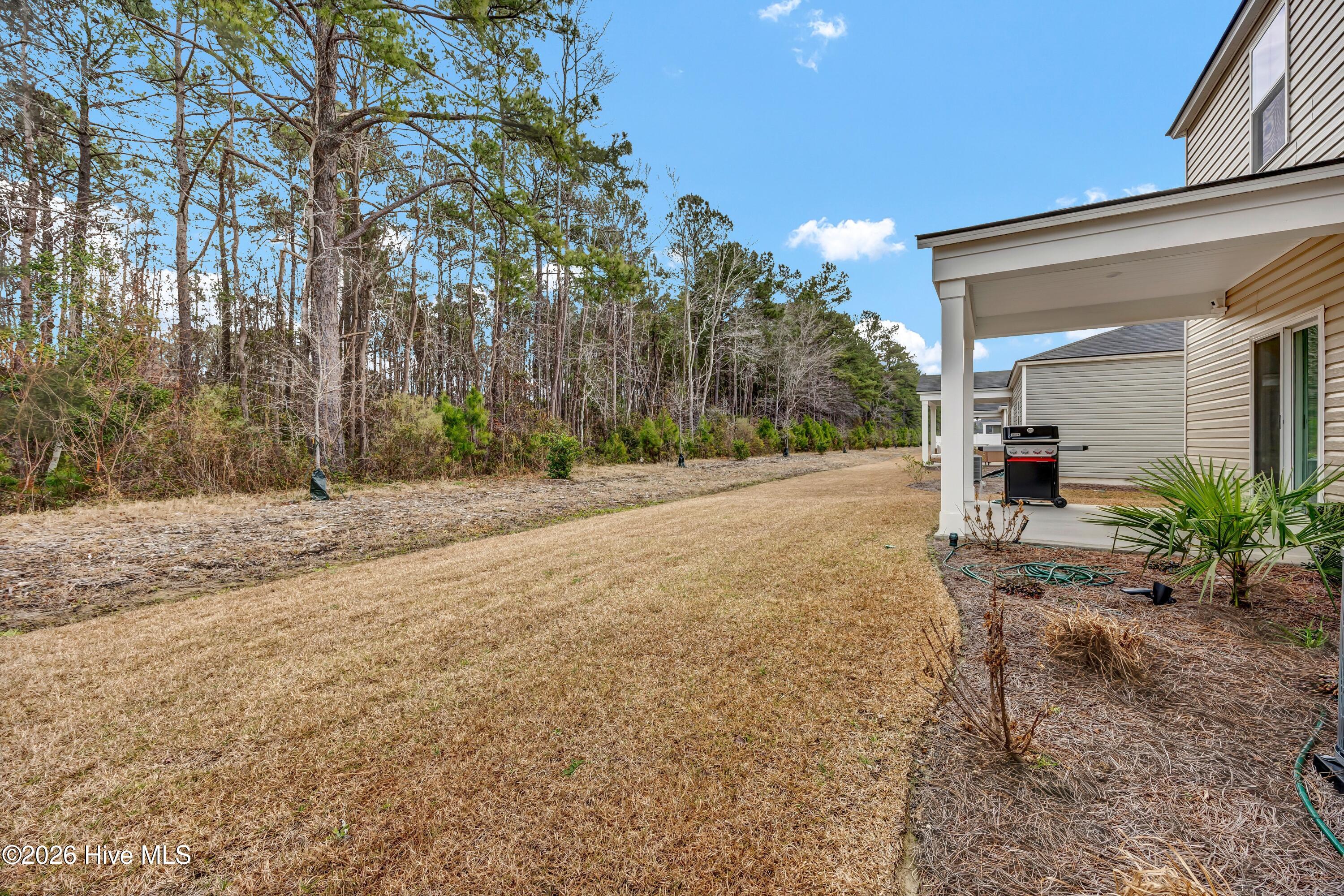 100554355 | Photo 26