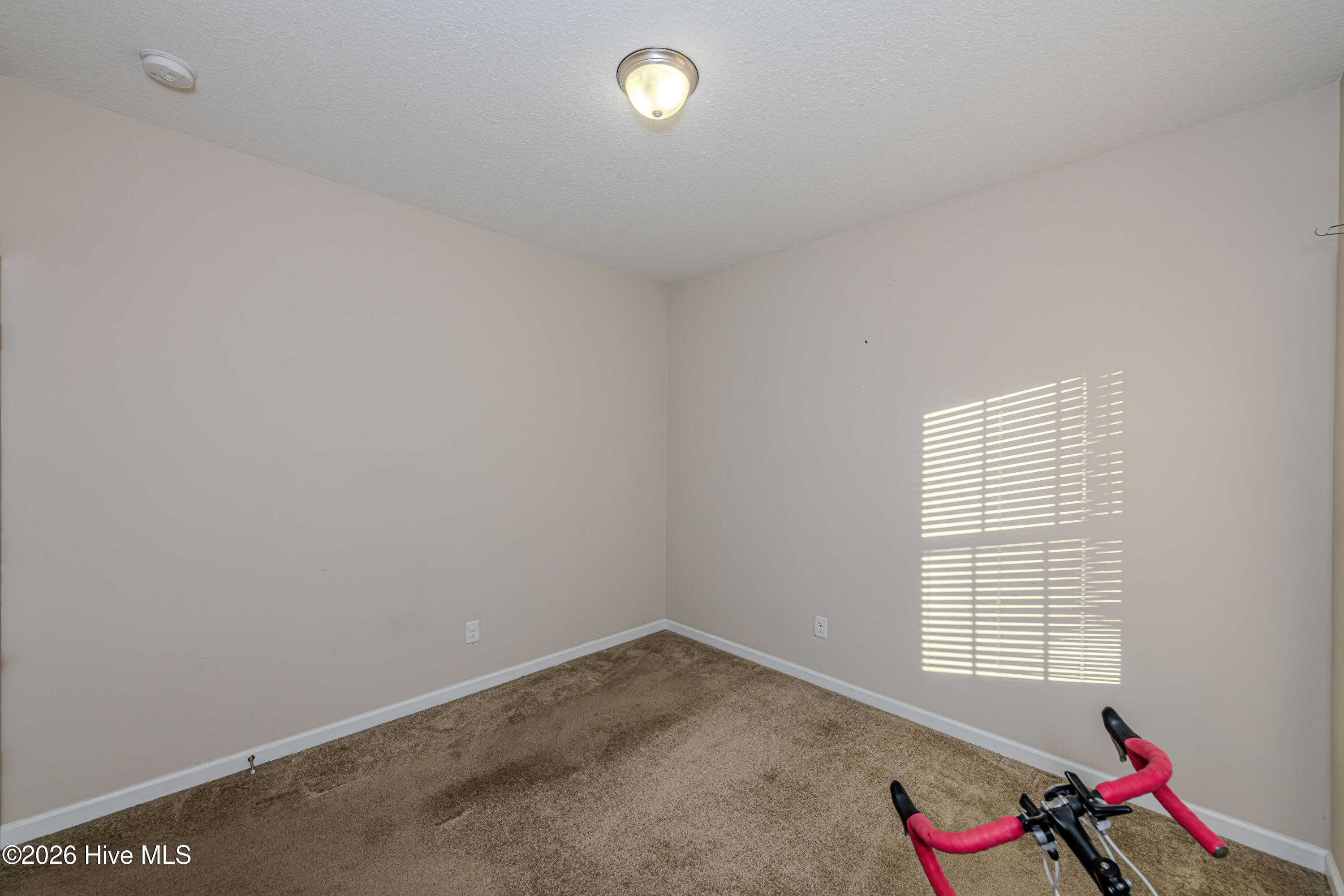 100549847 | Photo 33