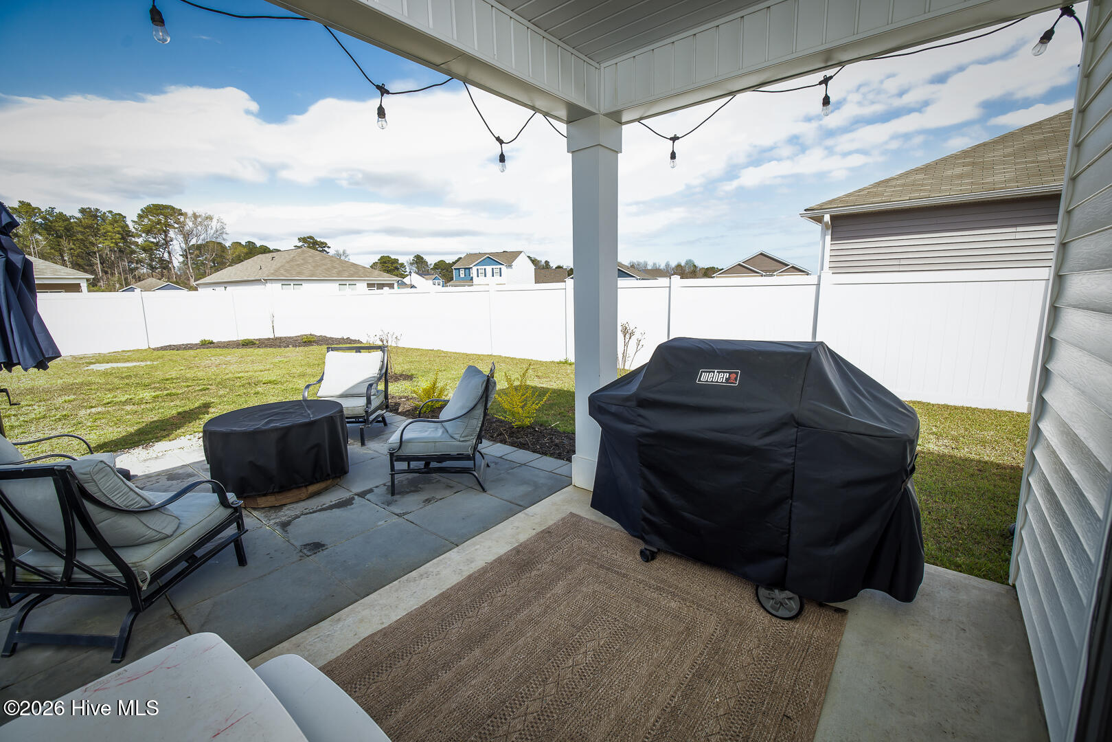 100560328 | Photo 23