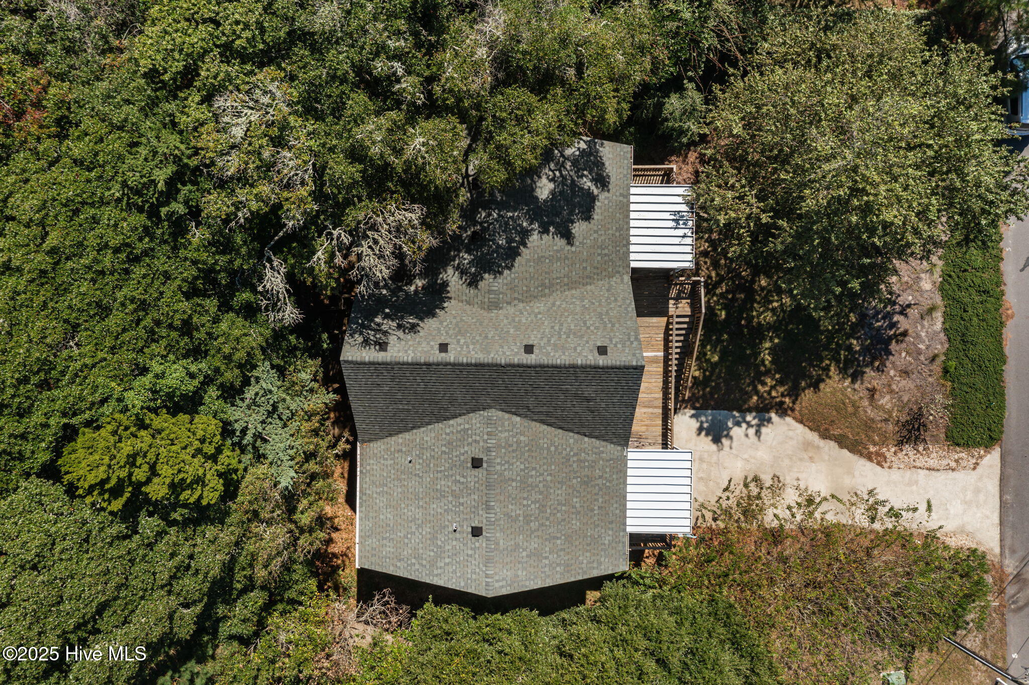 100533073 | Photo 47