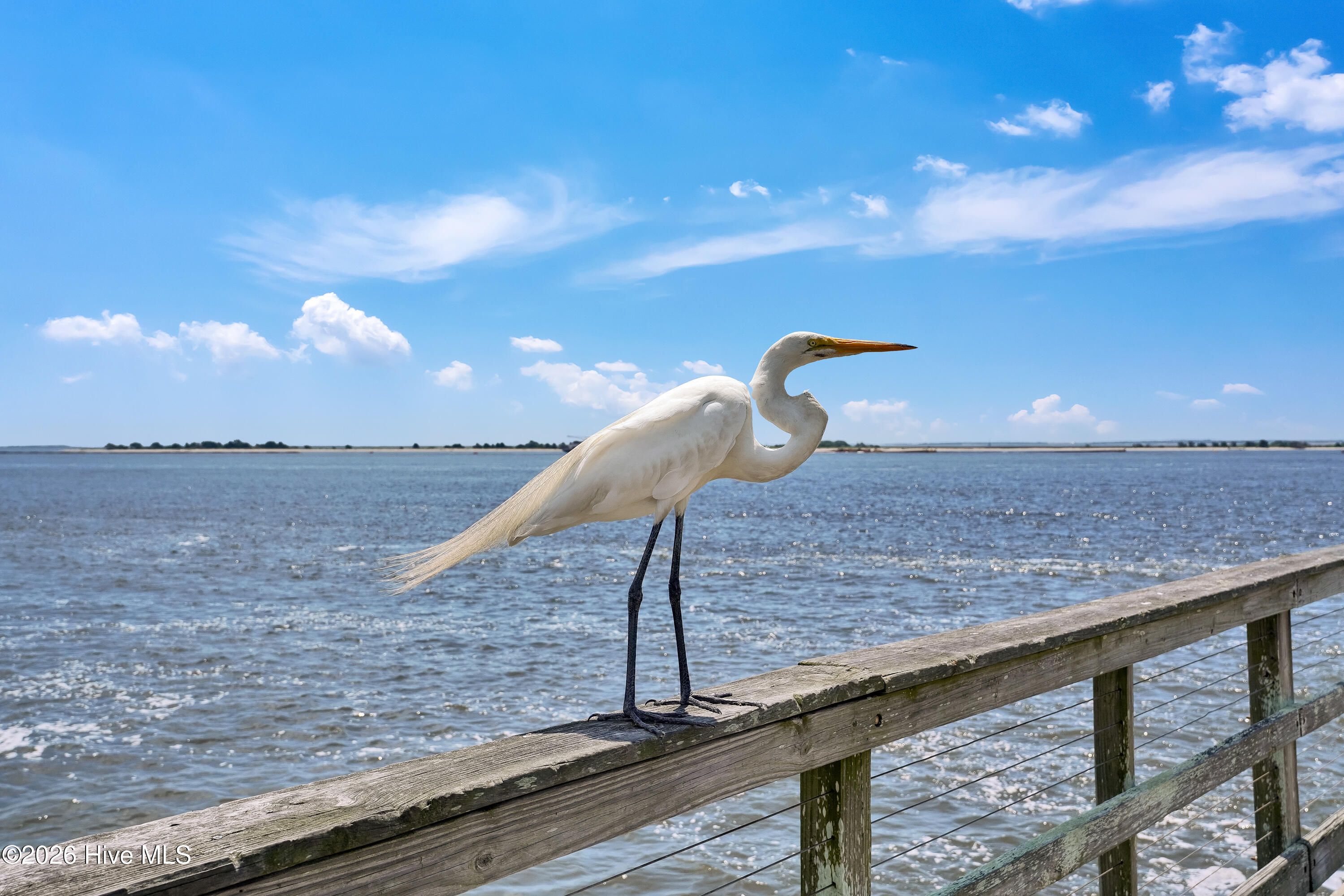 100543554 | Photo 70