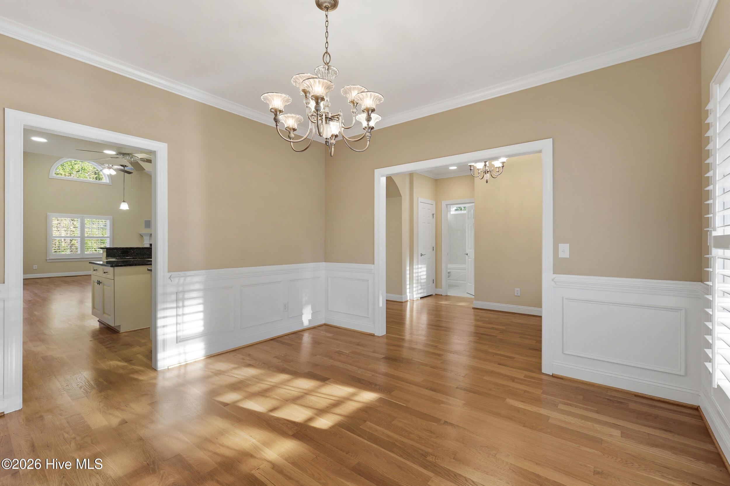 100567096 | Photo 32