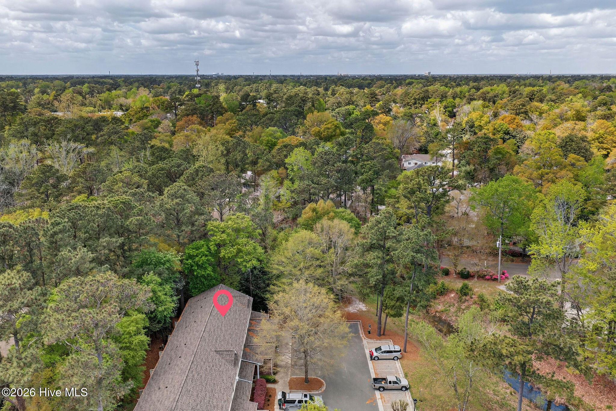 100564267 | Photo 25