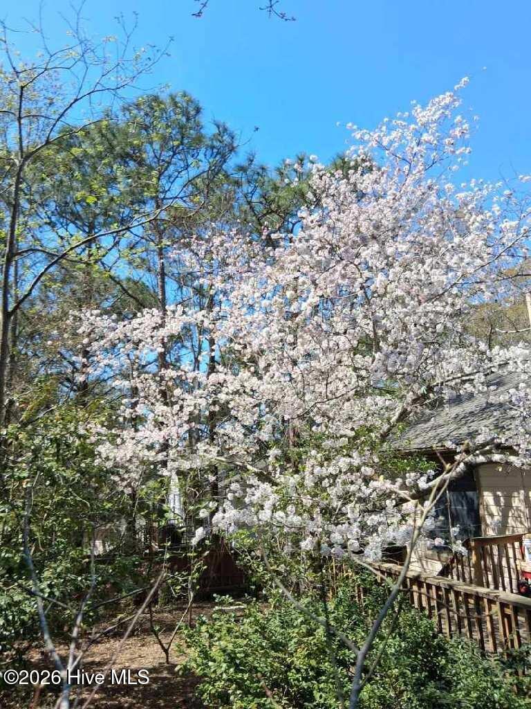 100561696 | Photo 47