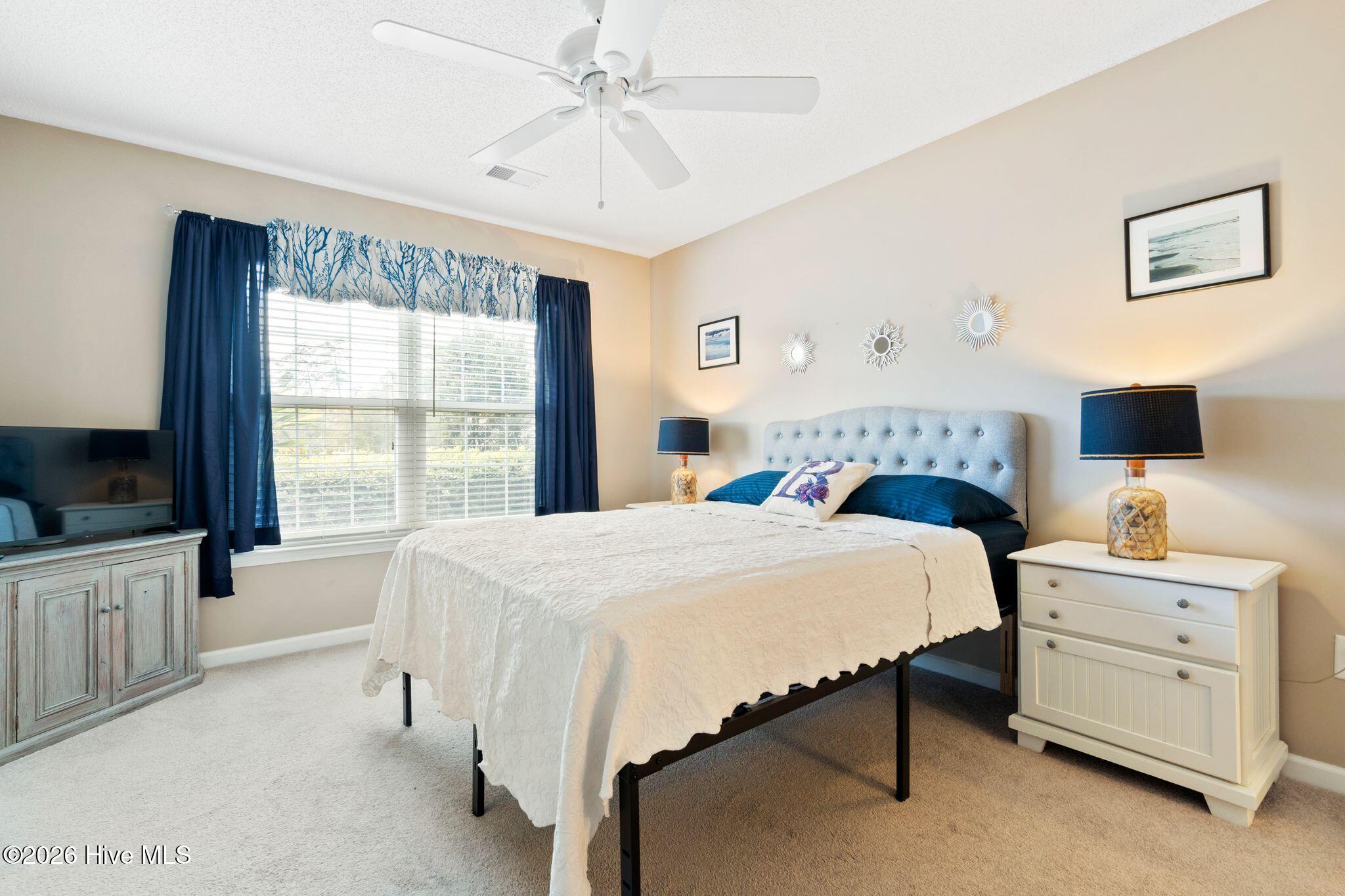 100551615 | Photo 21