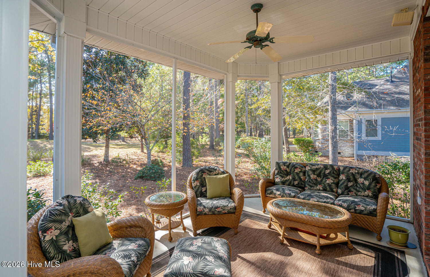 100551245 | Photo 50