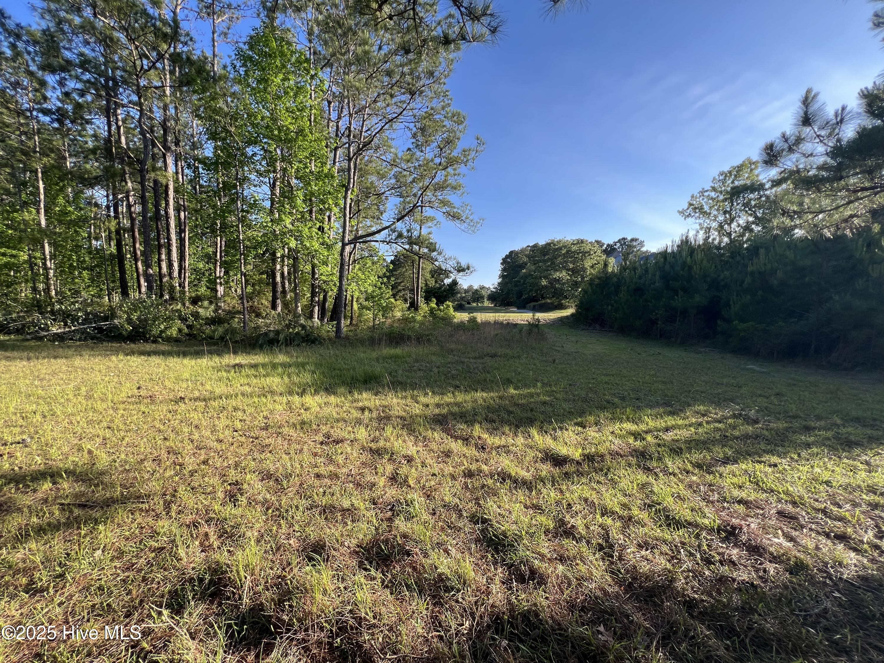 100509687 | Photo 45