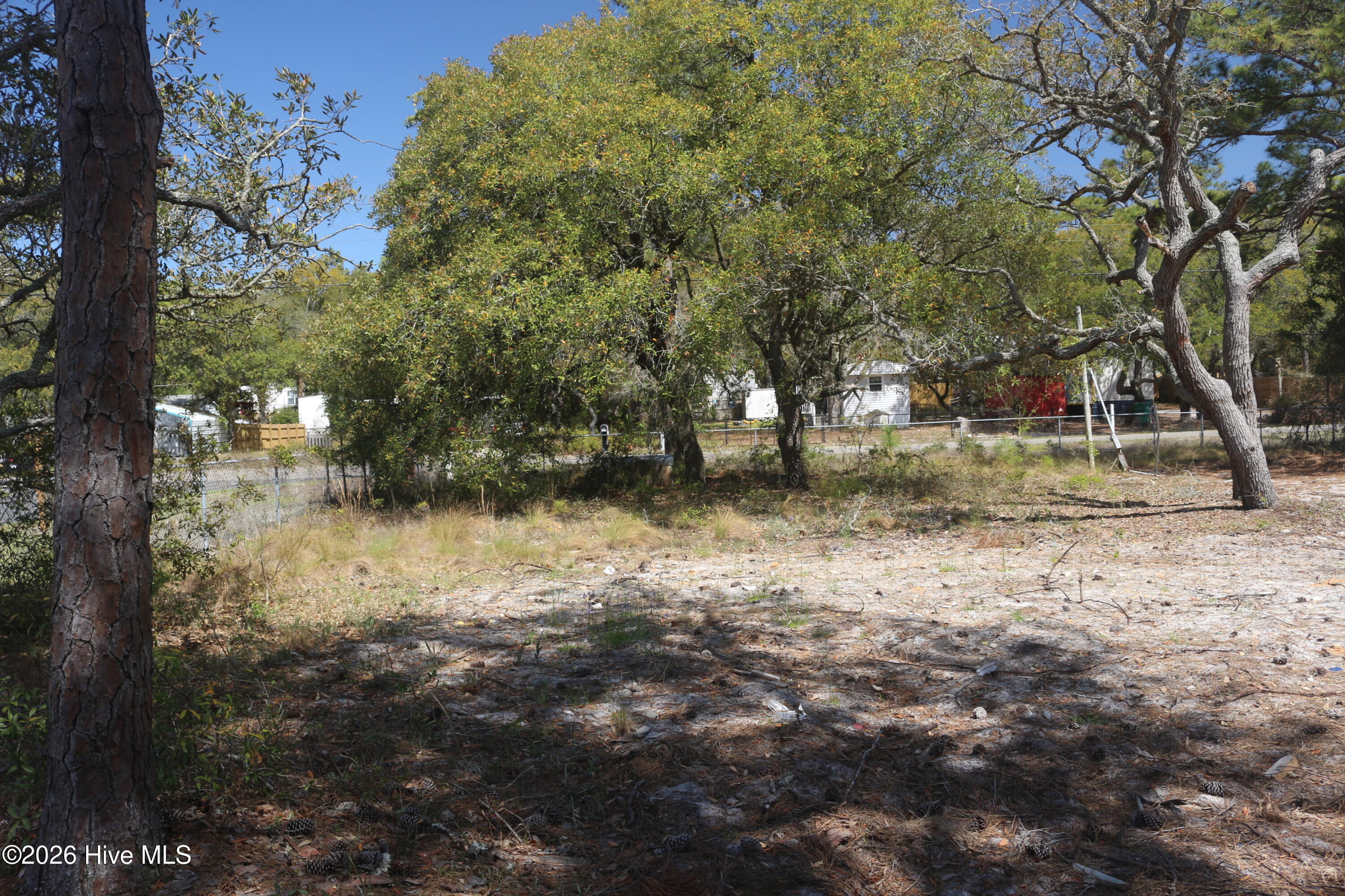 100566434 | Photo 11