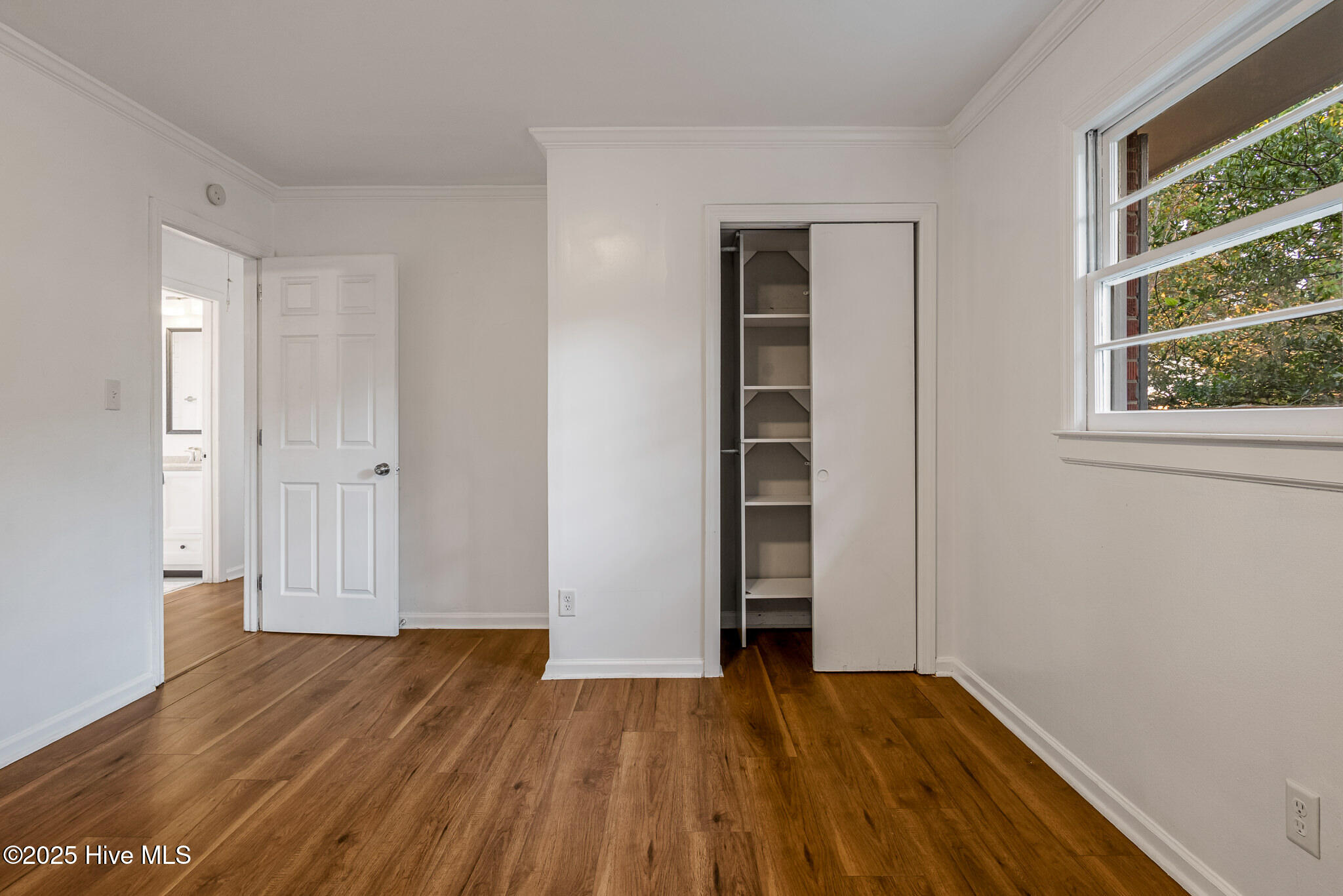 100536534 | Photo 14