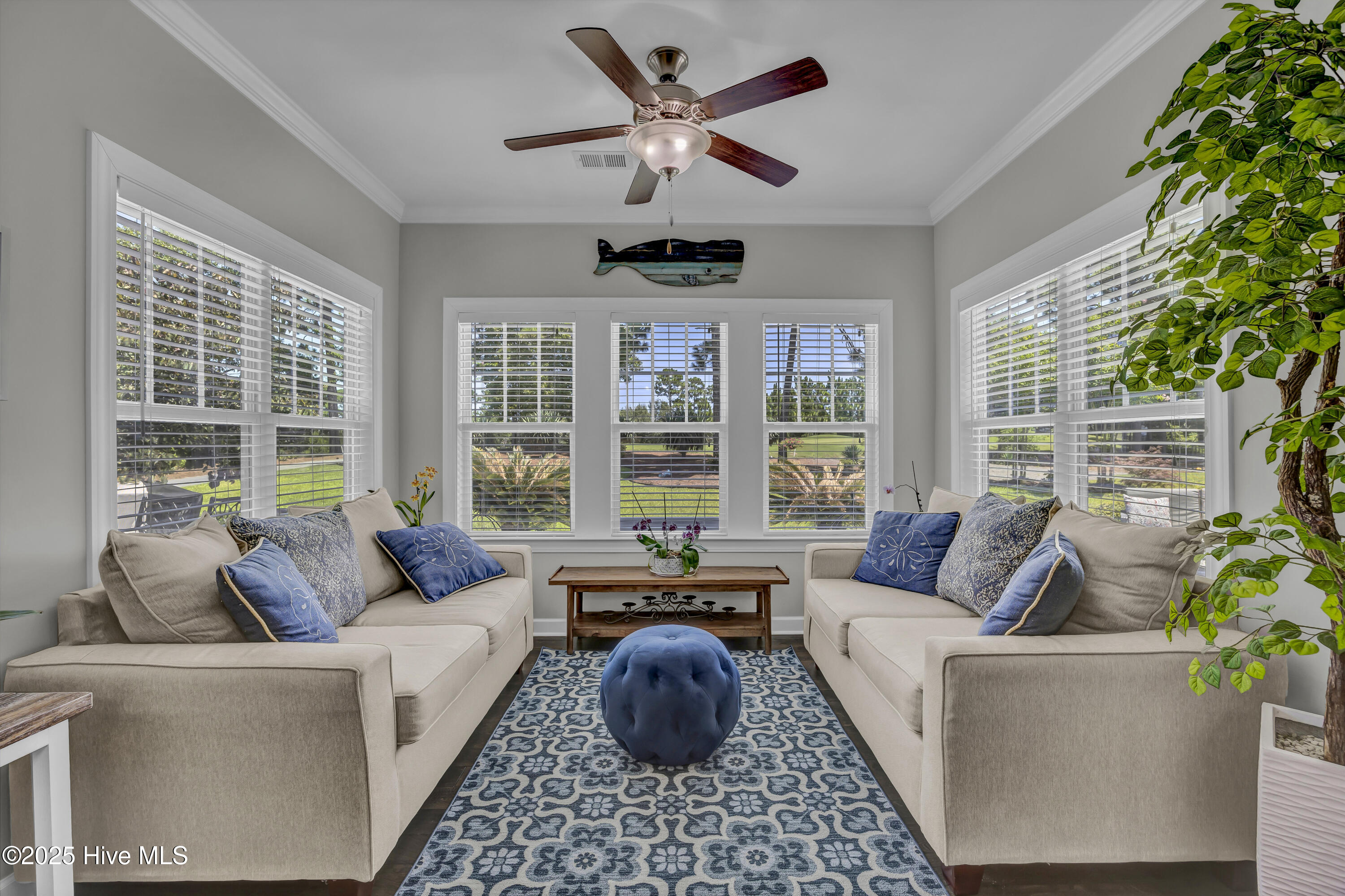 100519414 | Photo 12