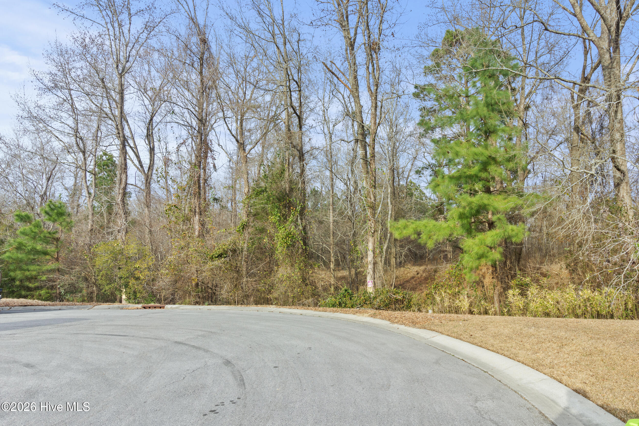 2711 Old Airport, New Bern, North Carolina, 0 ,Undeveloped,For sale,Old Airport,100547404
