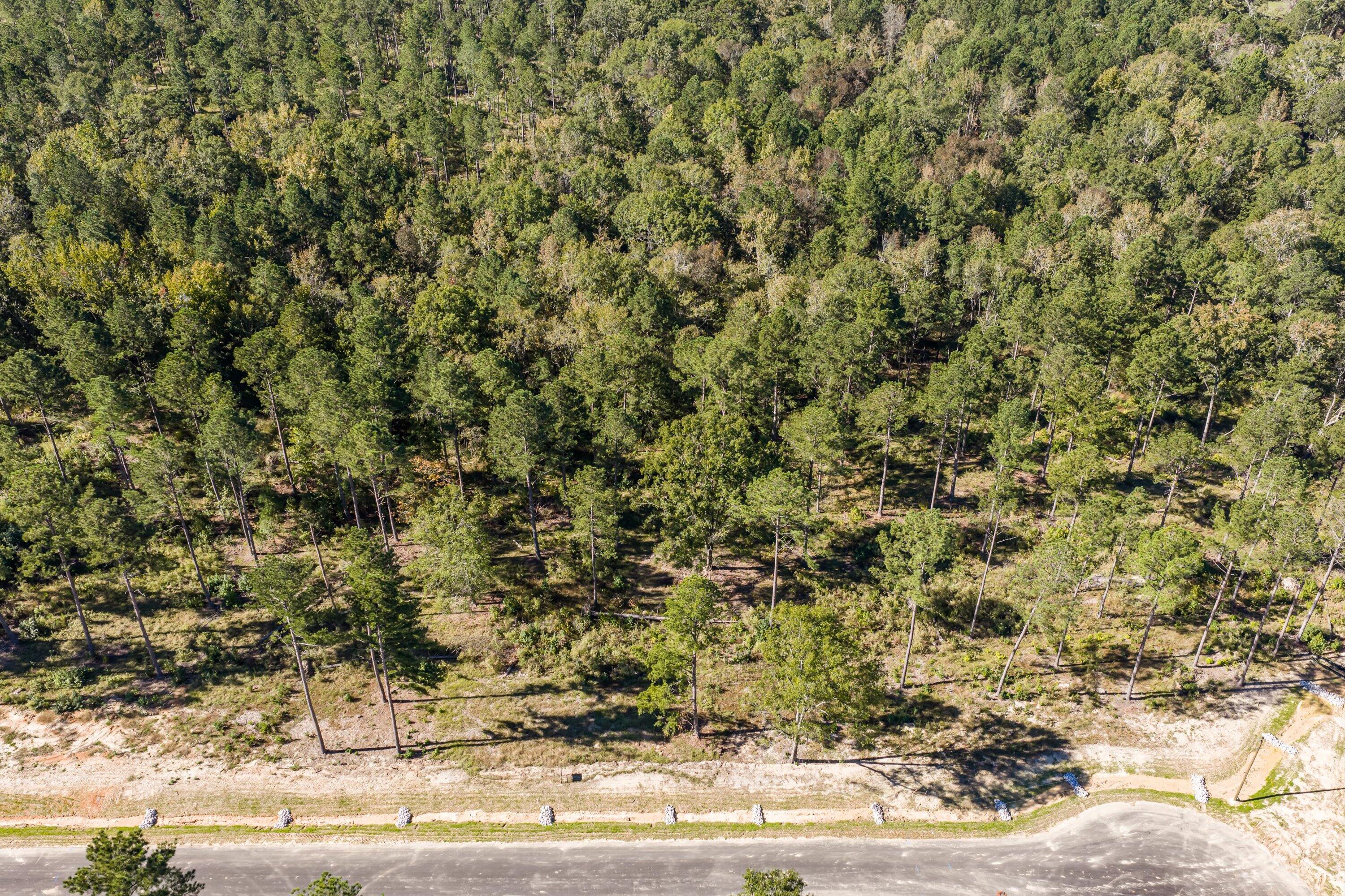 166 Beagle Chase Drive, Appling, GA, 30802