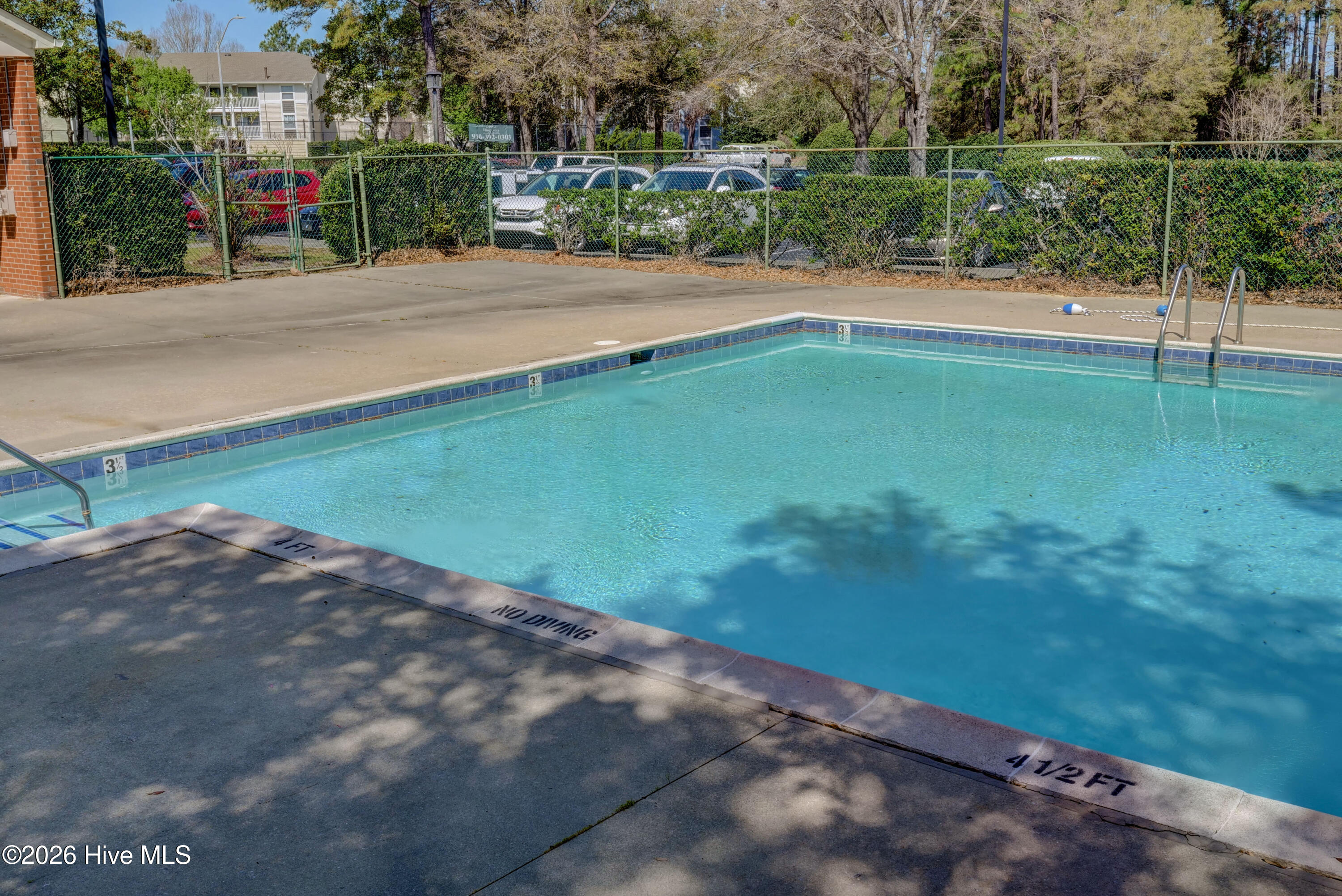 100559054 | Photo 33