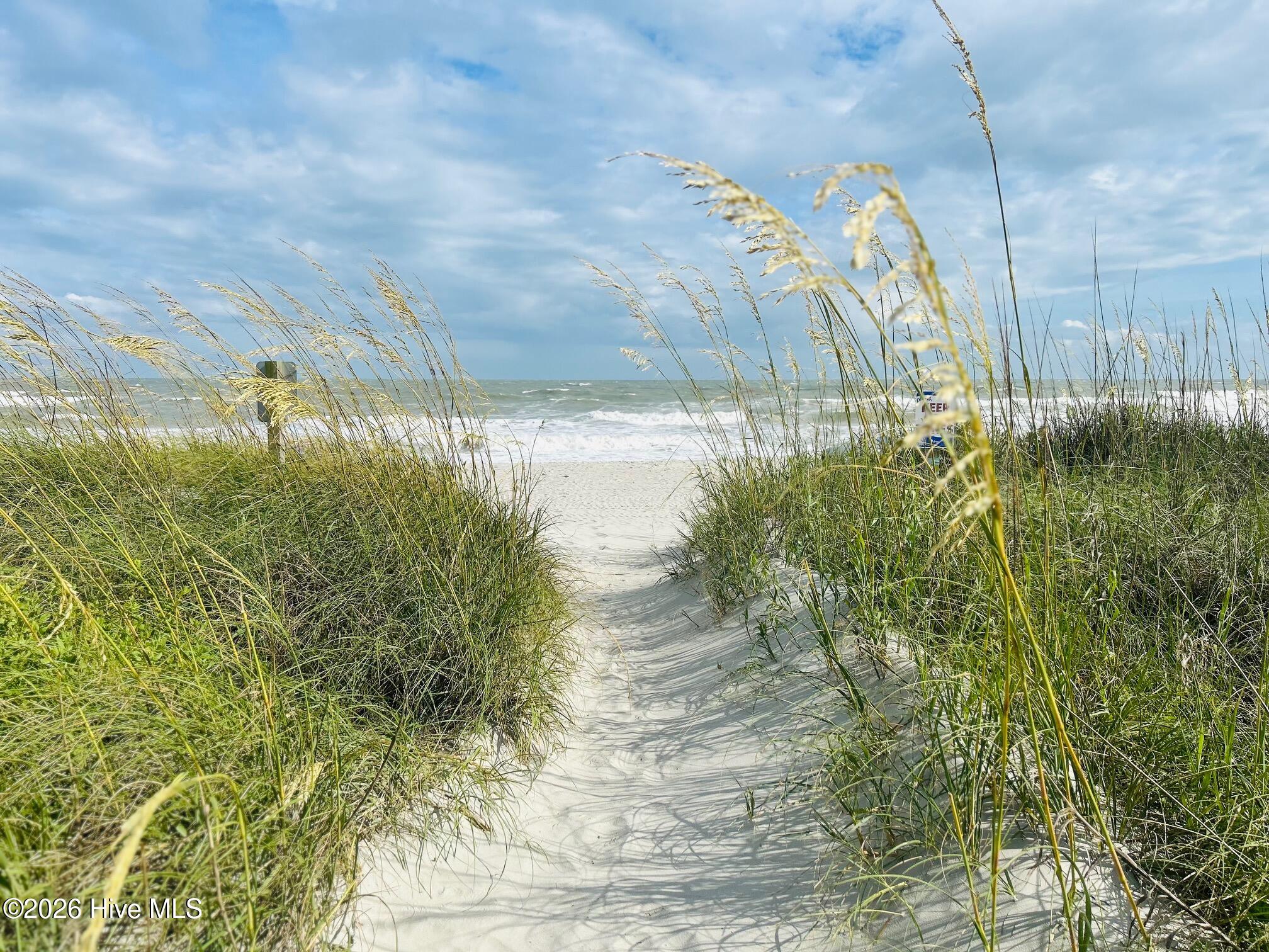 100543381 | Photo 15