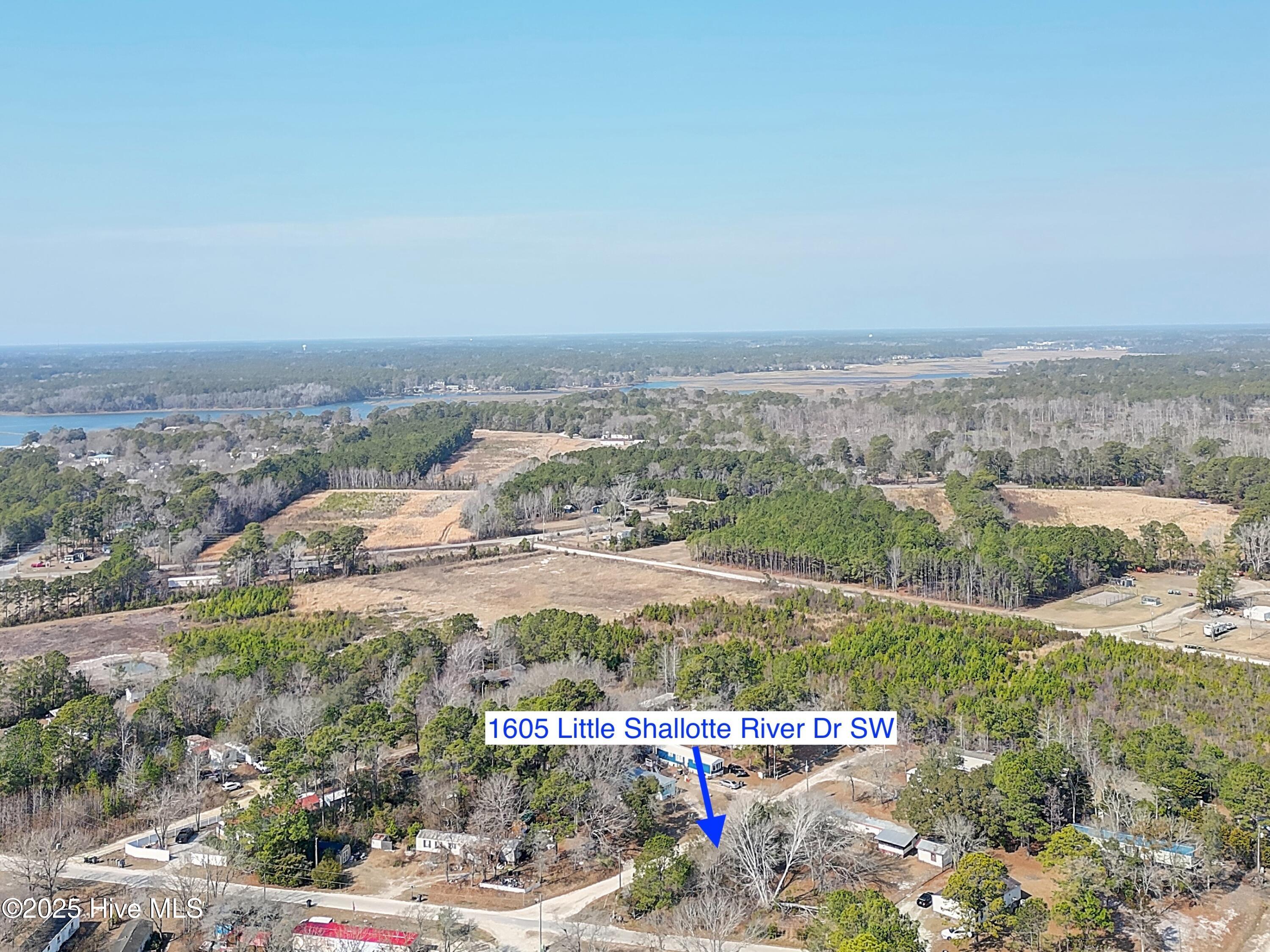 100488041 | Photo 13