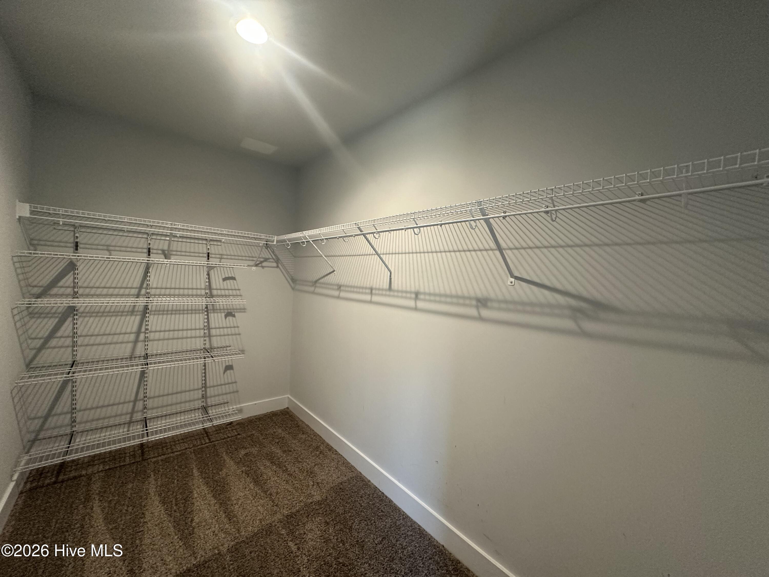 100559148 | Photo 38