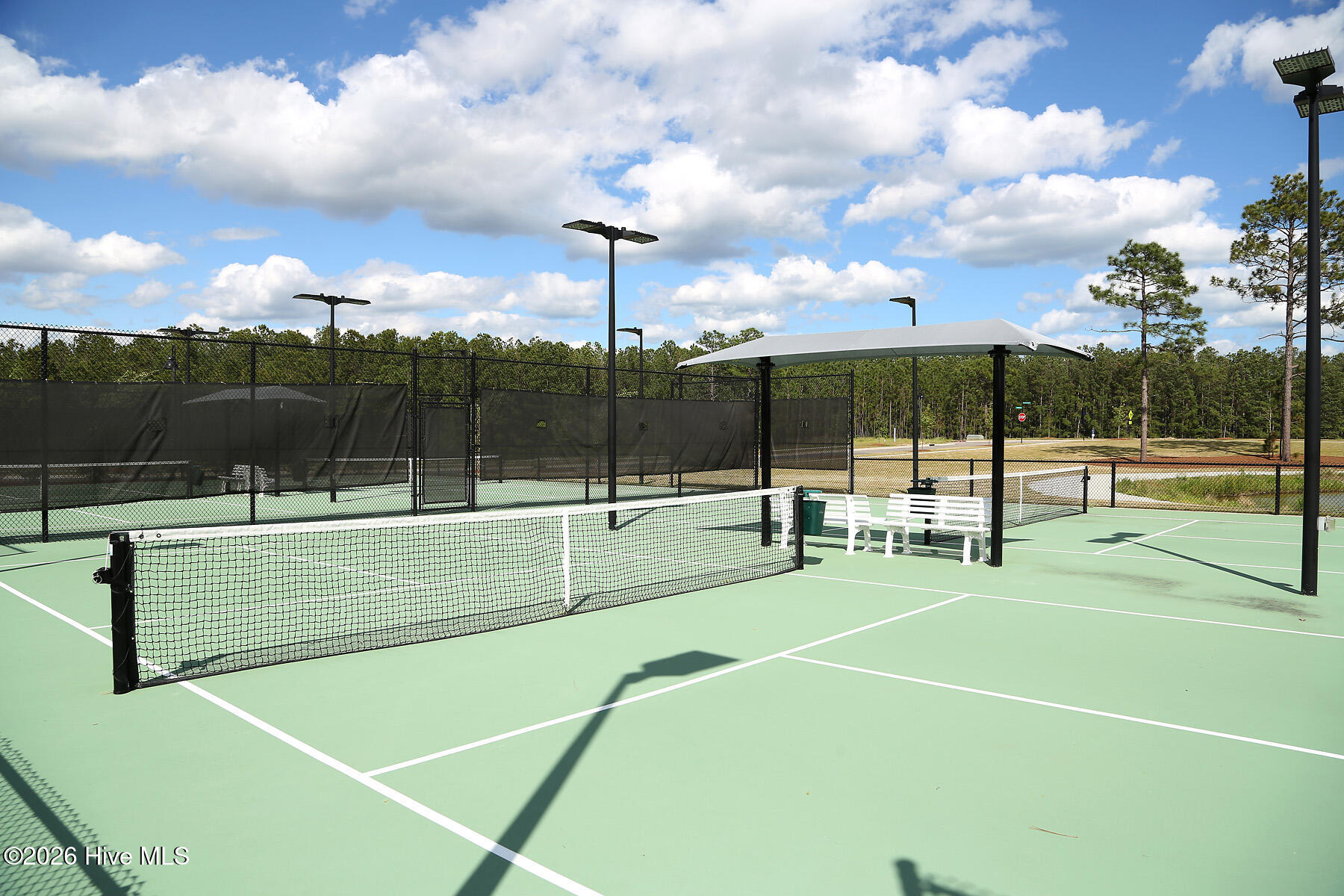 100554927 | Photo 48