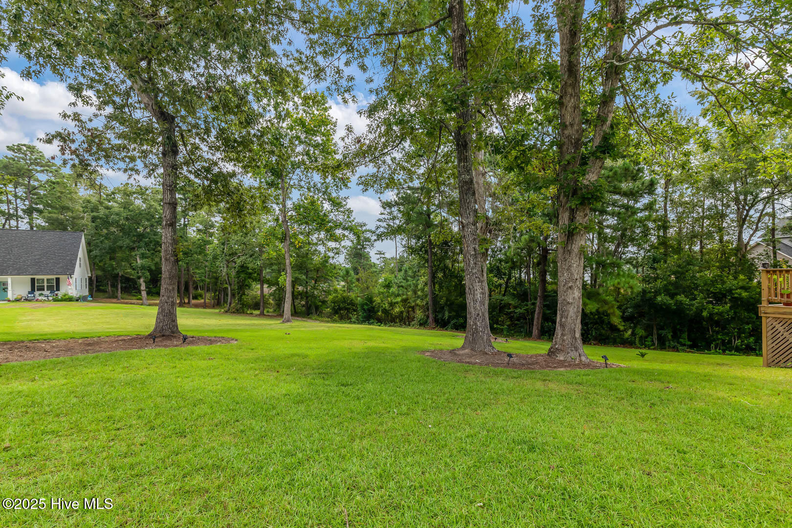 100544097 | Photo 63