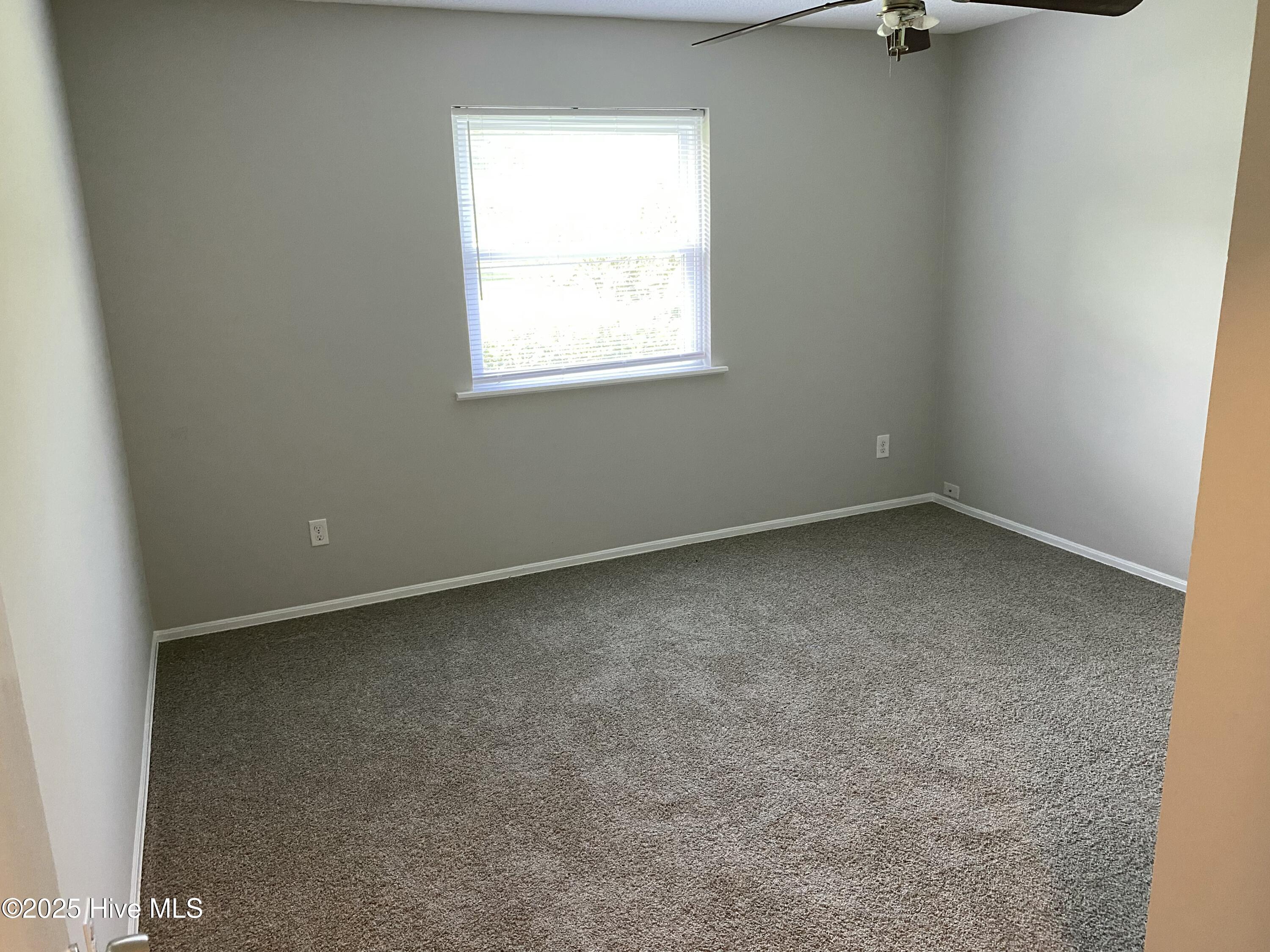 100557428 | Photo 11