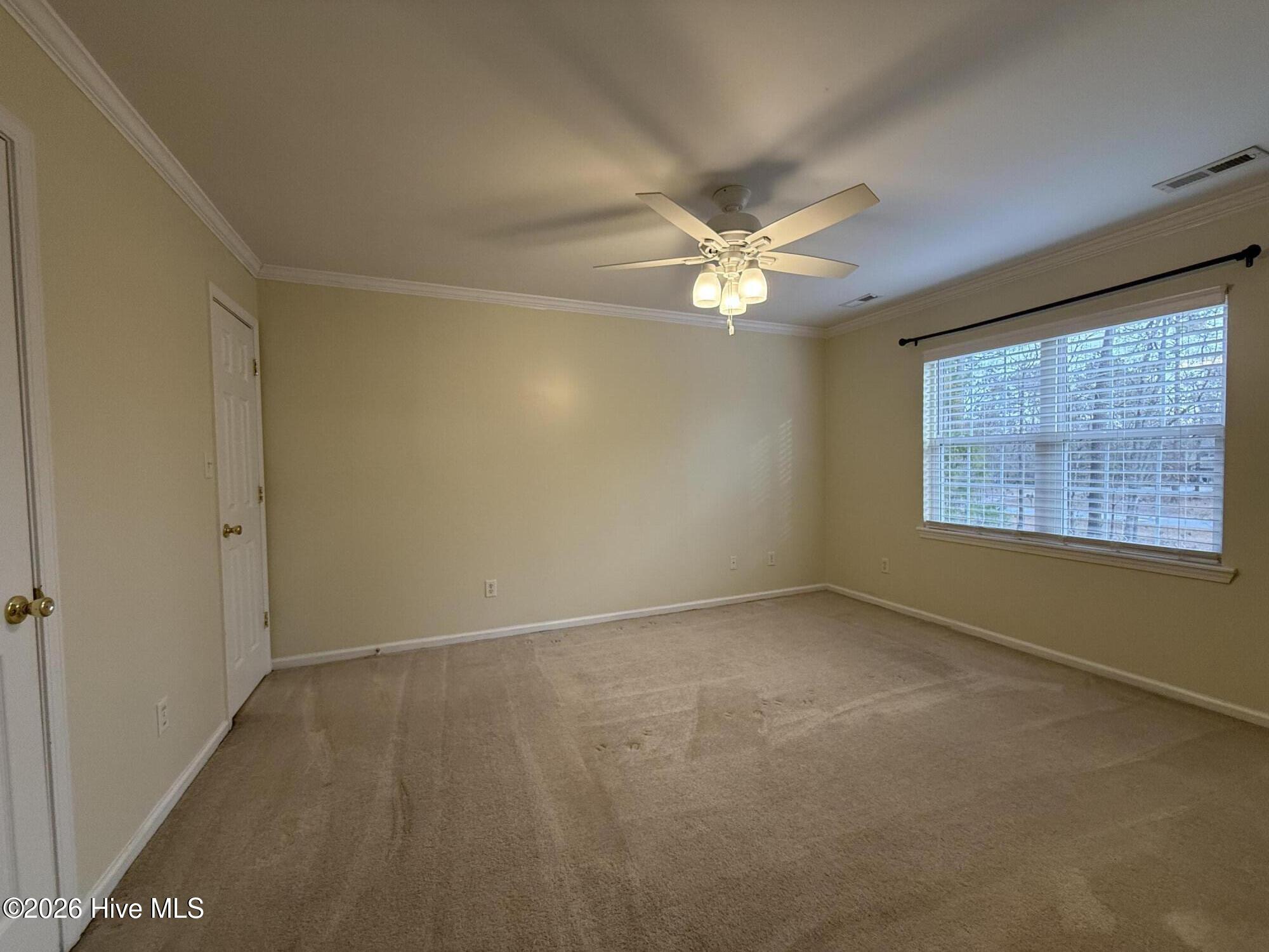 100552957 | Photo 24