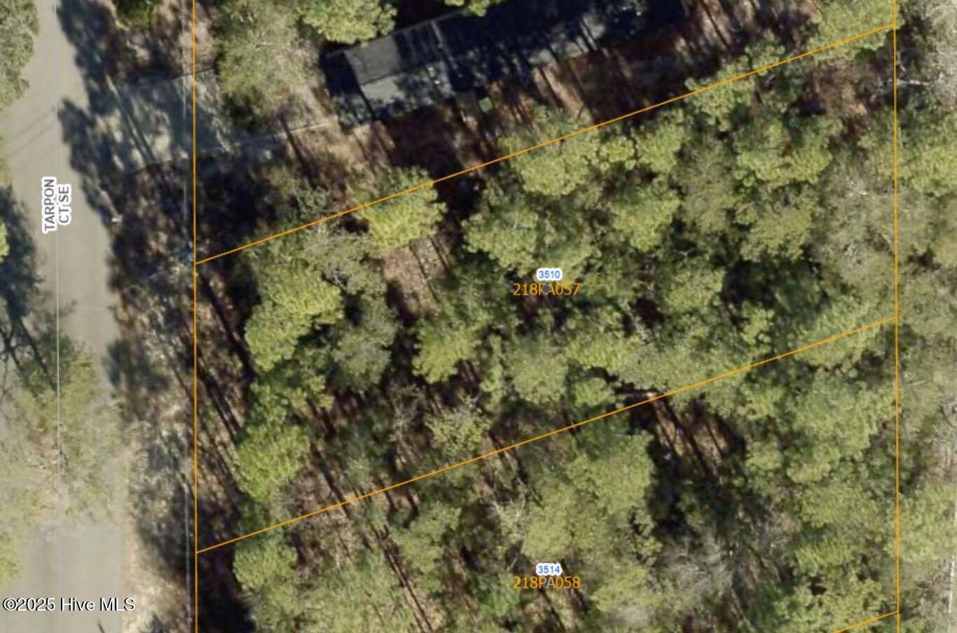 100533766 | Photo 10