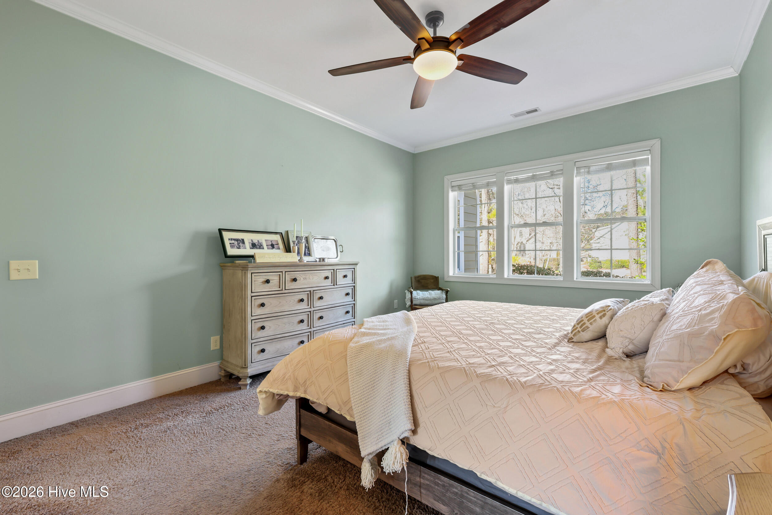 100554068 | Photo 30