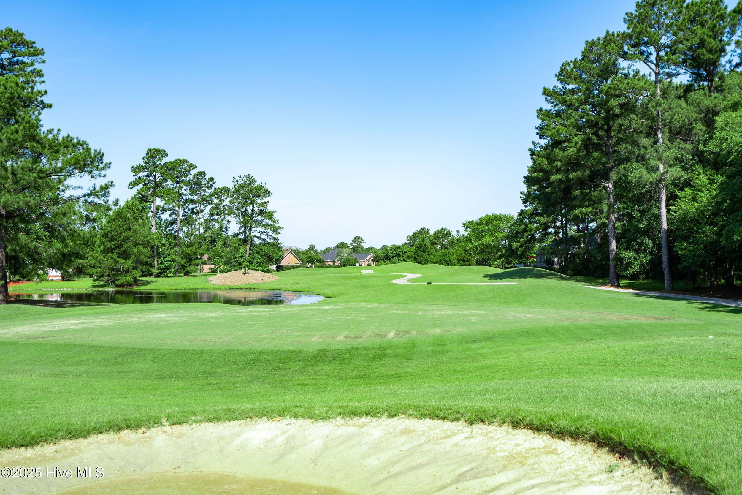 100544902 | Photo 23