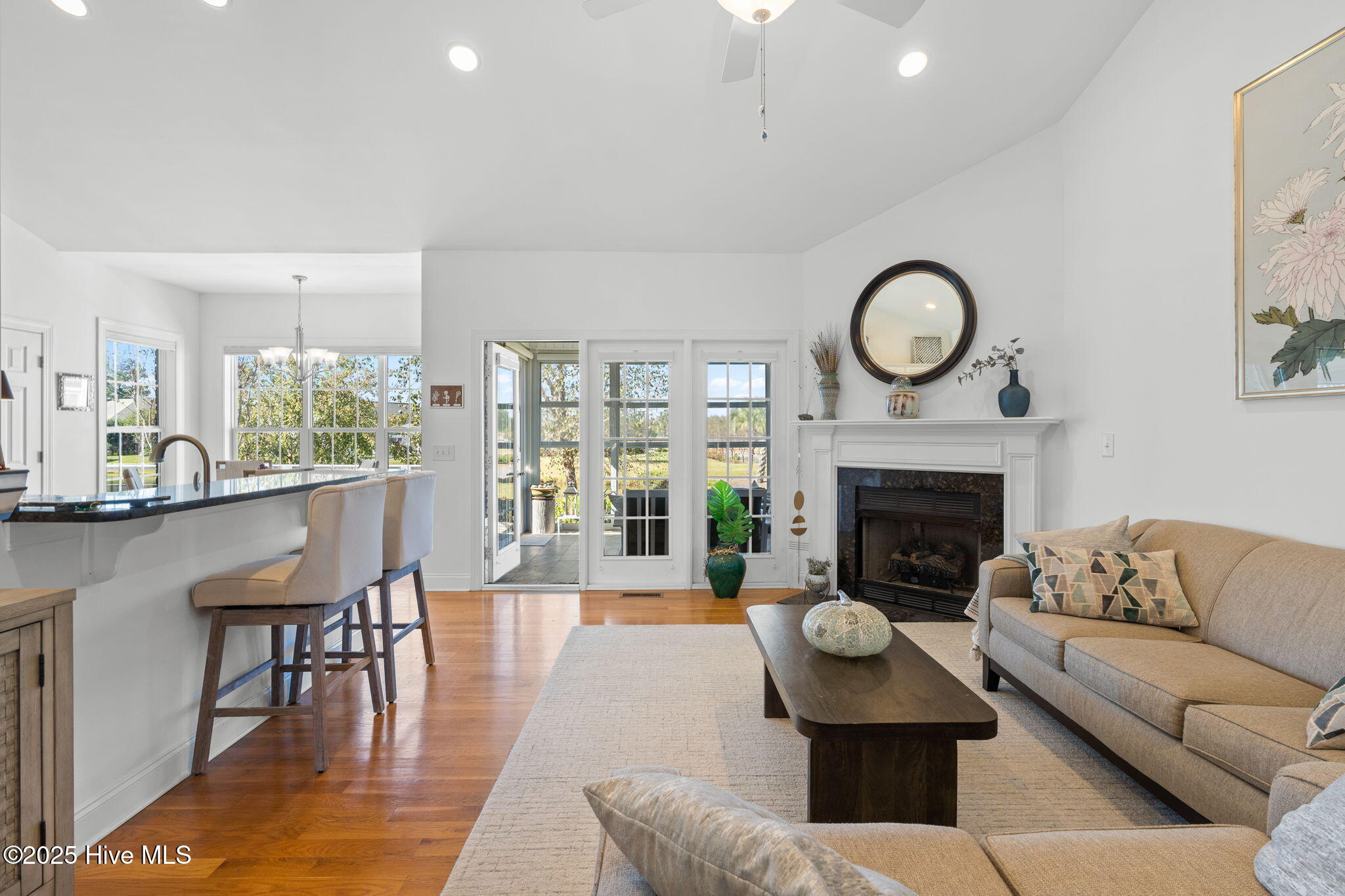 100538091 | Photo 16