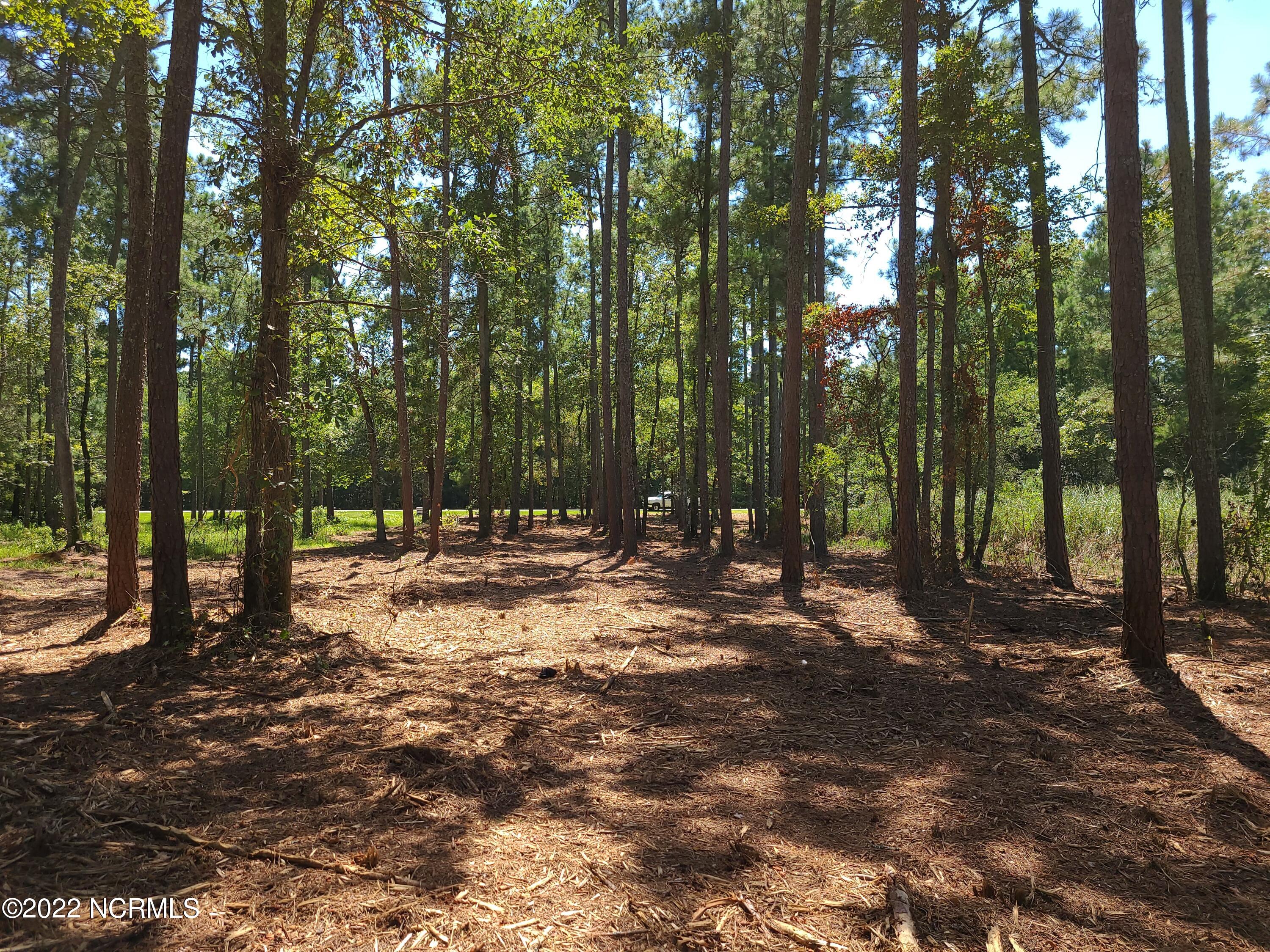 6 Ashton Drive, Bath, NC, 27808