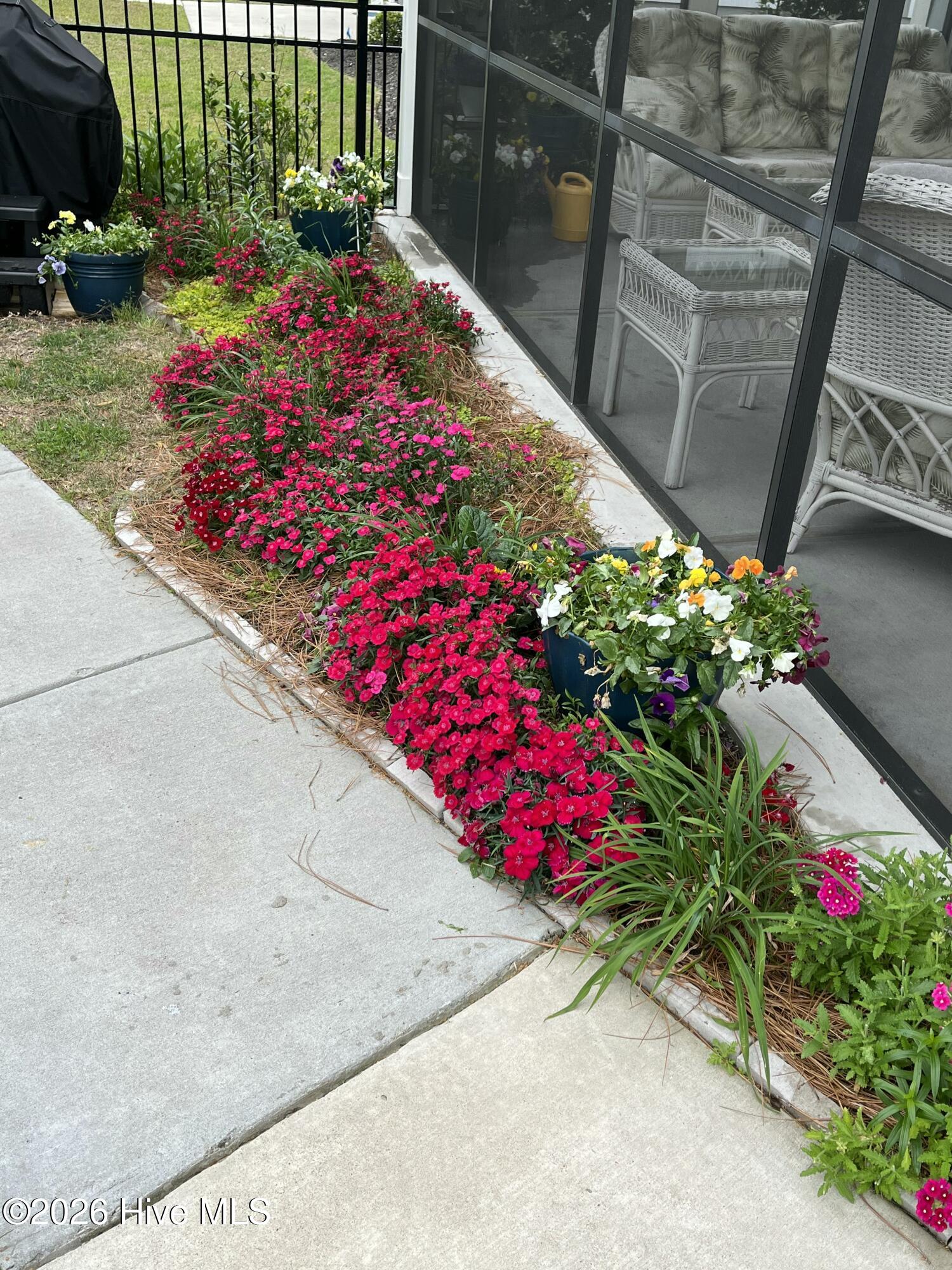 100553997 | Photo 40