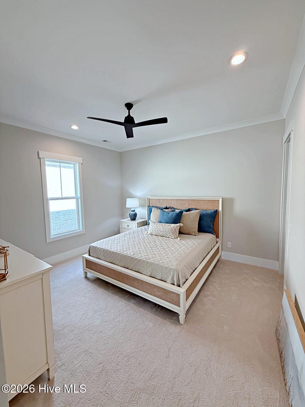 100553338 | Photo 34